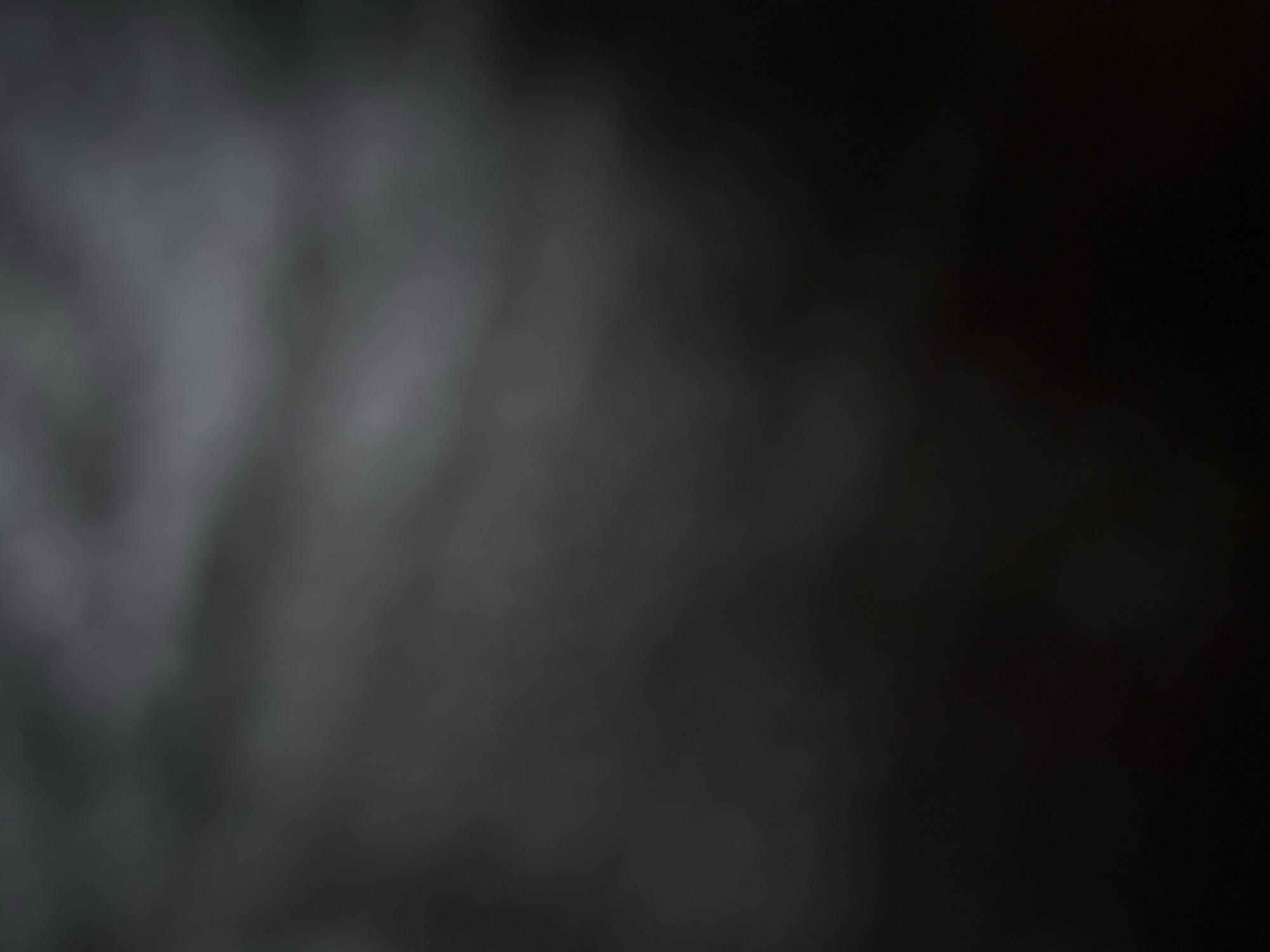 This media file presents an abstract, heavily blurred image dominated by shades of dark gray and black. The left and upper-left portions of the image show lighter, diffuse, and somewhat textured areas, resembling a cloudy or smoky pattern. These lighter gray tones gradually transition into a deep, solid black towards the right and bottom right sides of the frame. The overall impression is one of obscurity and low light. Due to the extreme blur and lack of sharp focus, no specific subjects, objects, people, or discernible scenes can be identified. There is no visible activity or event taking place, and no text is present. Notable details such as time of day, weather, specific location cues, or emotions are indistinguishable from the abstract composition. The image functions more as a monochromatic background or texture than a depiction of a concrete subject.