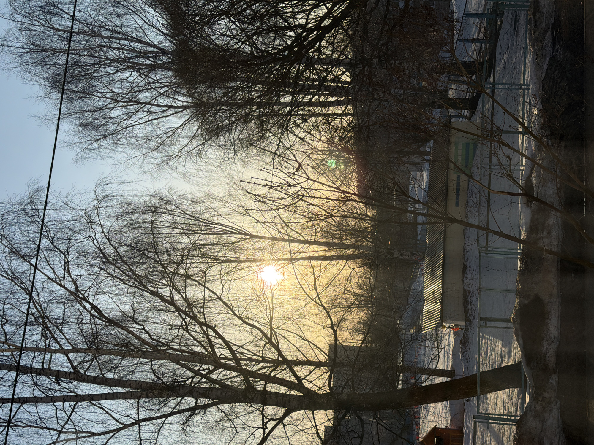 The image shows a winter scene in what is described as Izhevsk, Russia, with a bright sun shining through bare trees. The sun creates a golden glow in the sky. The trees have no leaves, indicating it is likely winter. In the background, there are buildings and what appears to be a fence or railing partially covered in snow. The ground is covered in snow. The perspective is looking upwards toward the sky.