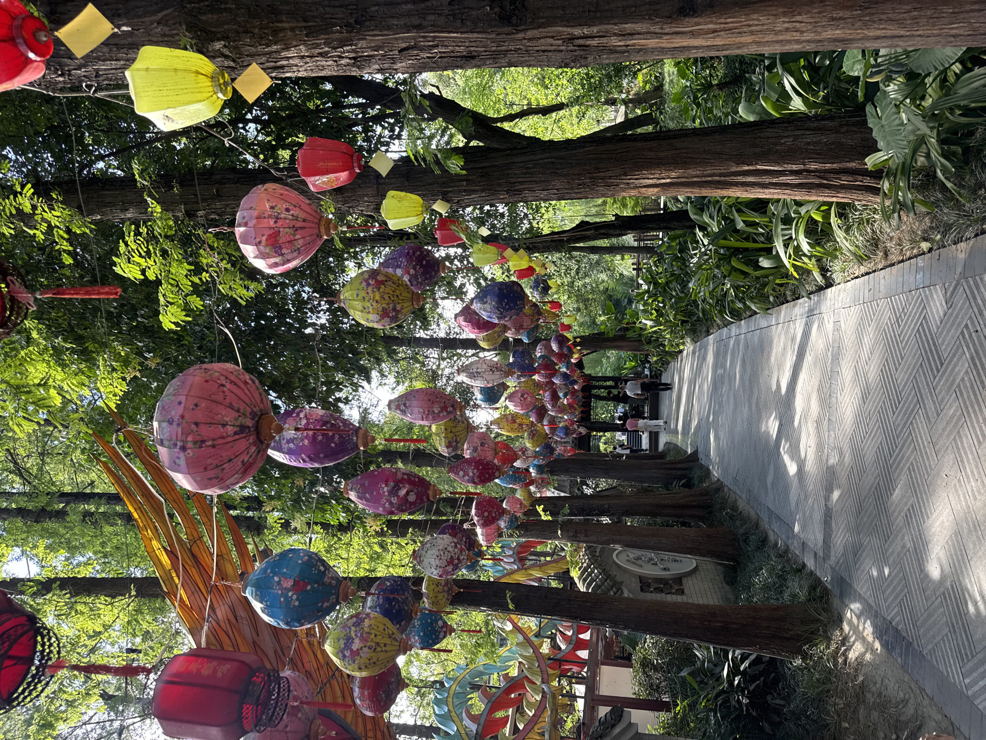A pathway in Qingyang District, China, is adorned with numerous colorful Chinese lanterns hanging from trees, creating a festive and vibrant atmosphere. The pathway, paved with grey interlocking bricks, is bordered by lush greenery and tall trees. Several individuals are walking along the path, appearing to be tourists enjoying the scenery. The lanterns, in various shapes and sizes, are predominantly red, pink, blue, and yellow, some featuring floral patterns. The sunlight filters through the leaves of the trees, casting dappled shadows on the pathway. The architectural elements of buildings with traditional Chinese design are visible in the background, further enhancing the cultural context of the scene.