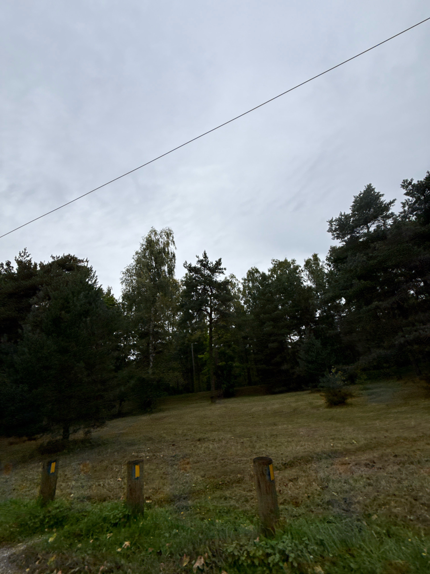 The image depicts a view of a wooded area with a gray, overcast sky. In the foreground, there is a grassy area with two wooden posts, each marked with a yellow stripe. Beyond this, a dense line of trees forms a backdrop, with various species of trees visible, including what appears to be pine and birch. The overall scene suggests a natural setting, possibly a park or forest. The presence of the posts with markers could indicate a trail or boundary. The lighting is diffused, consistent with an overcast day. There are no people or animals visible in the frame. The image does not provide any specific clues to pinpoint its location within the city of Tallinn, Estonia.