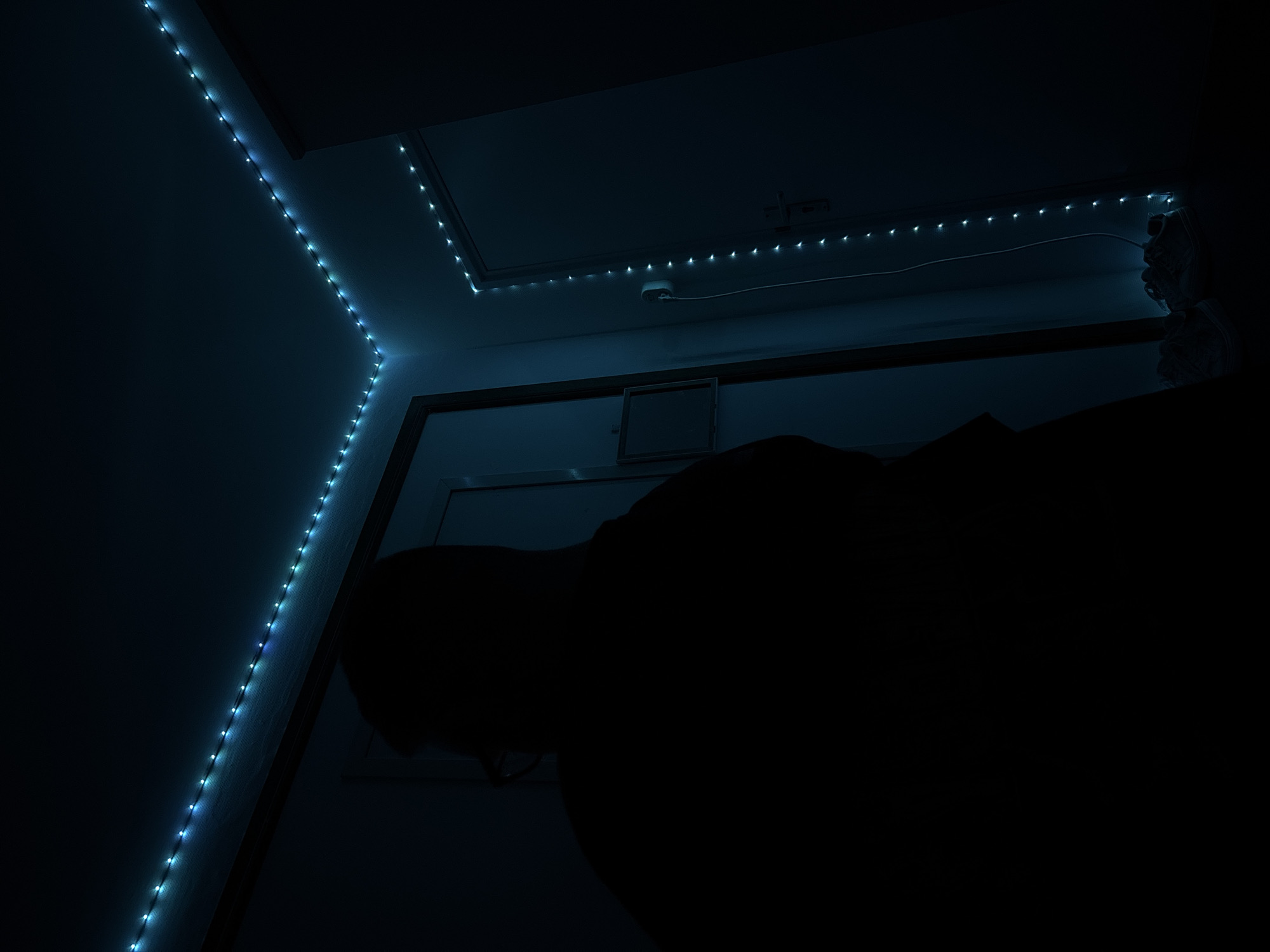The image shows an indoor scene with blue LED strip lights illuminating the corner of a room. A dark silhouette of a person wearing glasses is visible in the foreground, facing away from the camera. The person appears to be standing near a doorway. A second doorway is visible on the right, also outlined with LED lights. The environment is dimly lit, with the blue lights creating a moody atmosphere. No specific location in Enschede, Netherlands, can be identified from the image.