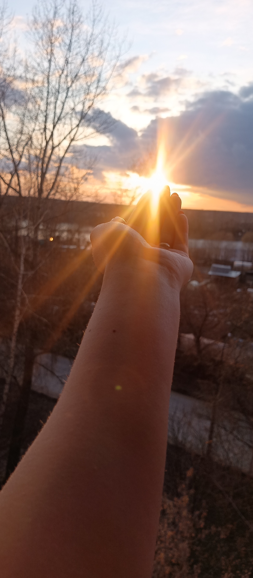 The image features a close-up perspective of a person's arm and hand extended upwards, positioned to seemingly "hold" or "catch" the sun. The sun, a brilliant golden orb, is low in the sky, producing intense starburst rays and prominent lens flares that scatter across the hand and forearm.
The scene depicts either a vibrant sunrise or sunset, characterized by the warm, radiant light. The sky above is partly cloudy, with soft pastel tones transitioning from bright gold near the horizon to lighter blues and grays higher up. In the background, silhouetted against the glowing sky, are numerous bare trees, suggesting a season without foliage such as late autumn or winter.
Beyond the trees, a distant landscape unfolds, appearing to be an elevated view overlooking what might be a town, city, or a natural expanse, possibly including a body of water. The person's forearm is visible in detail, showing fine hair and a small mole or freckle. A ring can be faintly seen on one of the fingers. There is no visible text in the image. The overall impression is one of capturing a majestic natural phenomenon with a playful human element.