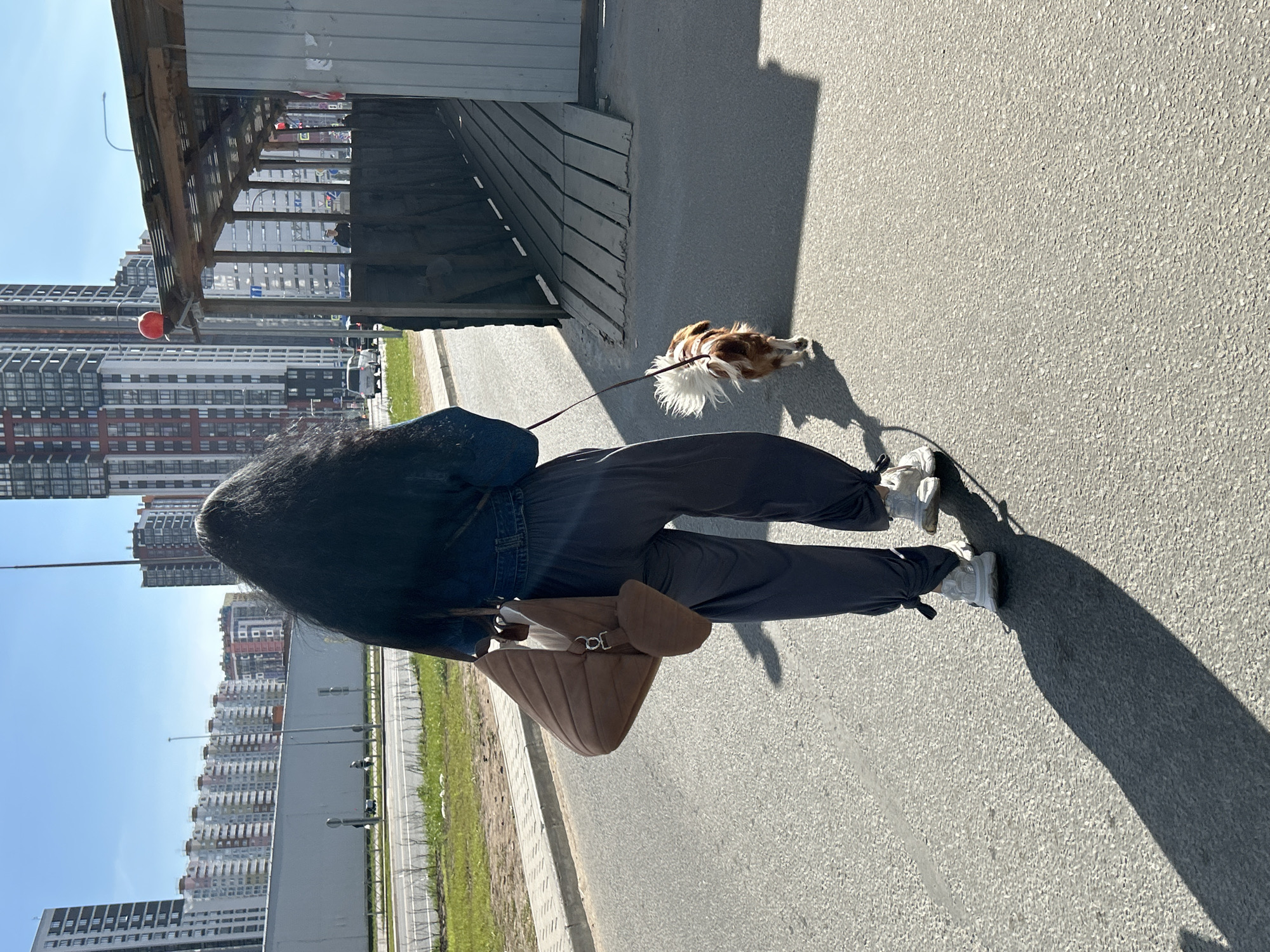 A person walks a dog on a leash along a sidewalk. The person has dark hair, wears a dark blue jacket, dark gray sweatpants, and white sneakers, and carries a brown suede handbag. The dog is small, with brown and white fur. The sidewalk is adjacent to a building and a grassy area. In the background are tall apartment buildings characteristic of Saint Petersburg, Russia. A partially covered structure sits along the walkway. It is a sunny day, casting shadows of the person, dog, and structure.