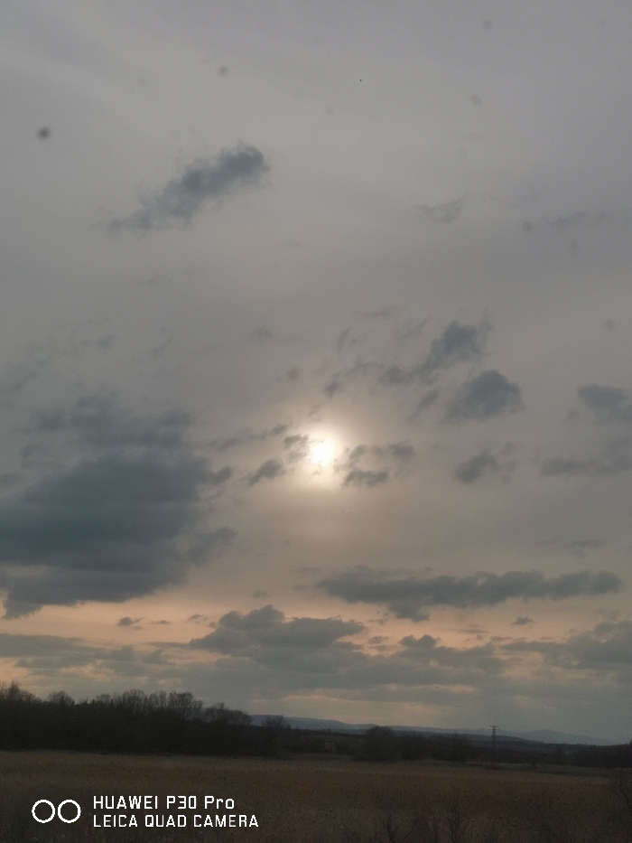The image displays an expansive outdoor landscape scene, documented within the city of Petarch, Bulgaria. The upper two-thirds of the frame are dominated by an overcast sky, characterized by varying shades of light and dark grey clouds. The sun is visible as a bright, circular luminosity, partially obscured by cloud cover, positioned slightly above the central horizontal axis and to the left. Numerous small, dark specks, consistent with lens artifacts or distant aerial elements, are scattered across the upper sky. A single minute dark dot in the upper right quadrant may represent a distant bird.
The lower third of the image features a dark, horizontal band of dense vegetation, forming a distinct tree line across the mid-ground. Beyond this vegetation, a broad field of muted brown and yellowish dry foliage extends towards the horizon. Faint outlines of distant hills or mountains are discernible in the background. A singular utility pole, equipped with visible power lines, stands on the right side of the distant landscape, extending upwards from the horizon. The immediate foreground comprises a dry field of light brown and yellow vegetation. No individuals, explicit actions, or direct interactions are visible within the documented scene.