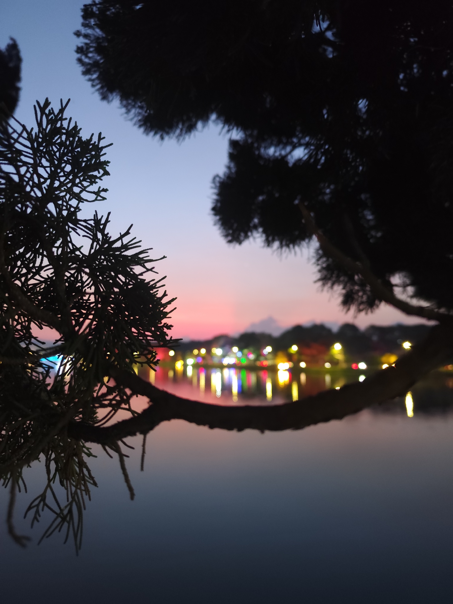 The image captures a tranquil scene at Xuan Huong Lake in Da Lat, Vietnam, during twilight. The sky transitions from a light blue at the top to a pinkish-red near the horizon.
The focus is on the foreground, where branches of two trees frame the view. The tree on the left features fine, detailed foliage, while the tree on the right is a darker, denser silhouette.
Across the lake, a series of illuminated lights creates colorful reflections on the water's surface. These lights appear to be from structures along the shoreline, suggesting a populated area. The lake's surface is mostly calm, reflecting the lights in elongated streaks.
The overall composition gives a sense of serenity, contrasting the natural elements with the urban lights in the distance.