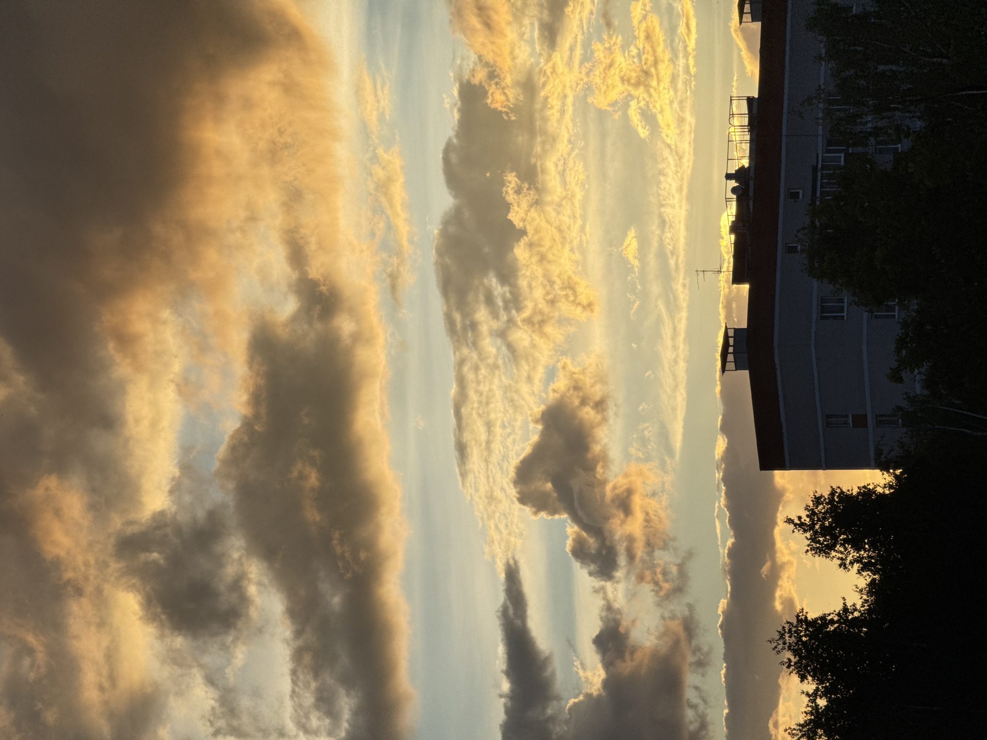 The image depicts a view of a sky at sunset. Clouds are visible, with hues of orange and yellow. A building can be seen on the right side of the image. The scene is located in Izhevsk, Russia. There is a tree.