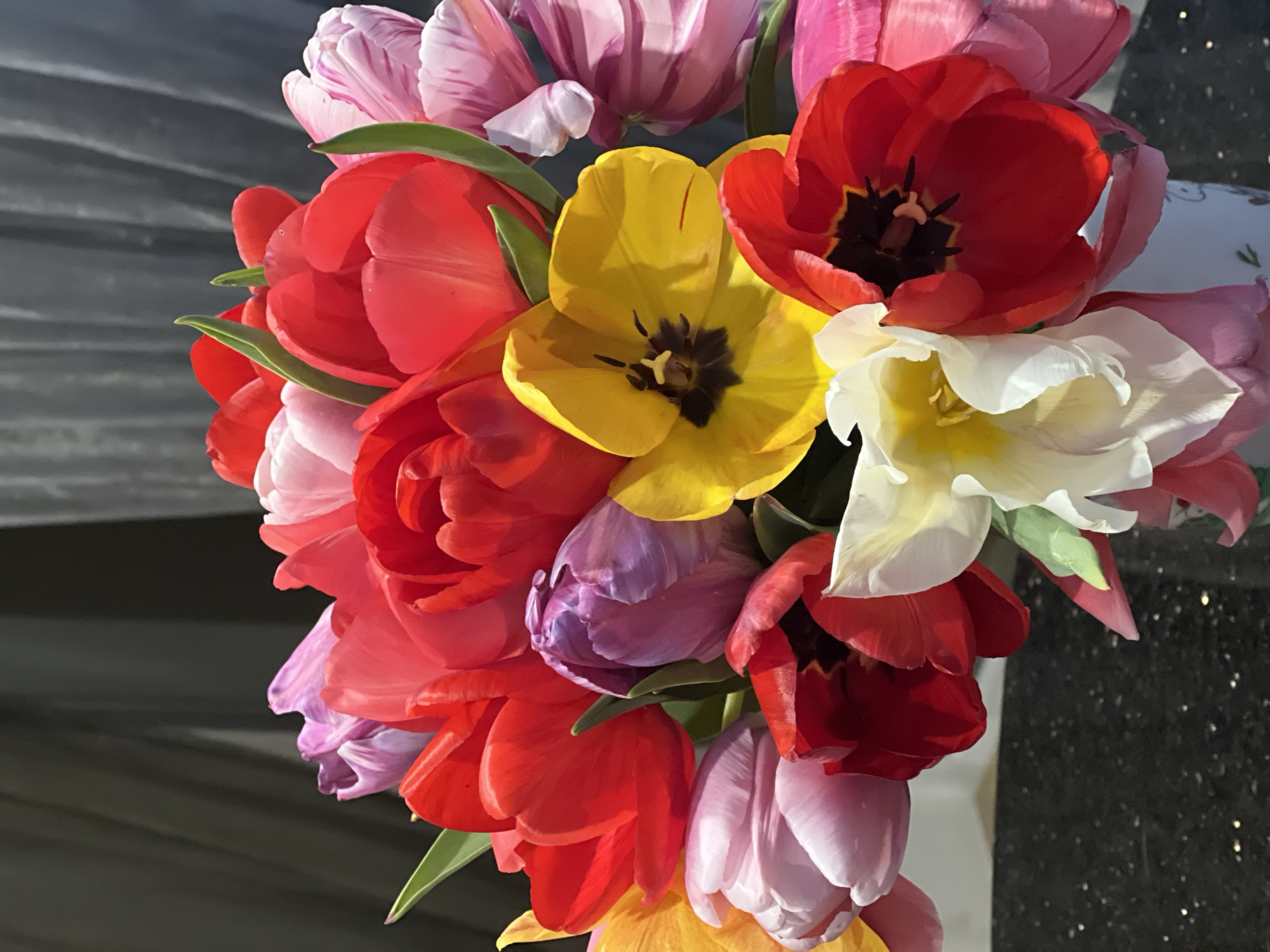 A close-up photograph shows a bouquet of colorful tulips. The tulips are red, yellow, white, pink, and purple. The flowers are densely arranged and the image focuses on the blossoms. A few green leaves are visible among the petals. The background is dark and out of focus, but appears to be a stone or tiled surface with slight reflections. It is unknown if this image was taken in Odesa, Ukraine. The scene contains no people.