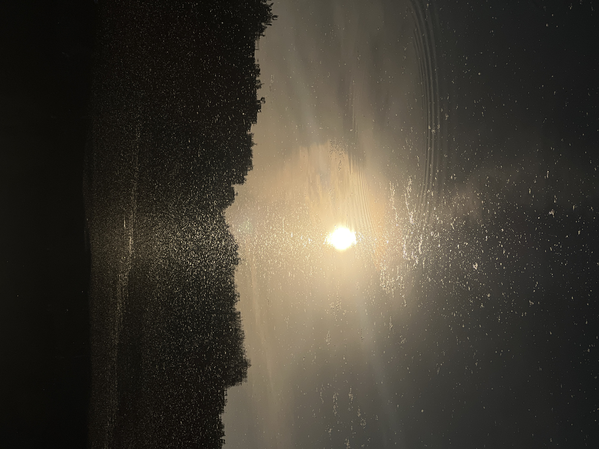 A vertically oriented image depicts a calm body of water at an unknown location in Unknown, Unknown, reflecting a low sun and an inverted treeline. The upper third of the image is dark, showing an indistinct, possibly wooded bank or dark sky. Below this, an upside-down reflection of a dense treeline is visible in the water, creating a dark, textured horizontal band. The middle and lower portions of the image feature a bright, golden-white circular reflection of the sun on the water's surface, emitting a luminous streak extending towards the bottom. Numerous small, bright, scattered specks are visible across the reflective surface of the water, consistent with light catching minor ripples or small particulate matter. Faint, concentric ripples are present in the lower right quadrant of the image. The scene is illuminated by natural light from a low sun, creating a high contrast between the dark upper areas and the brightly lit reflective water.