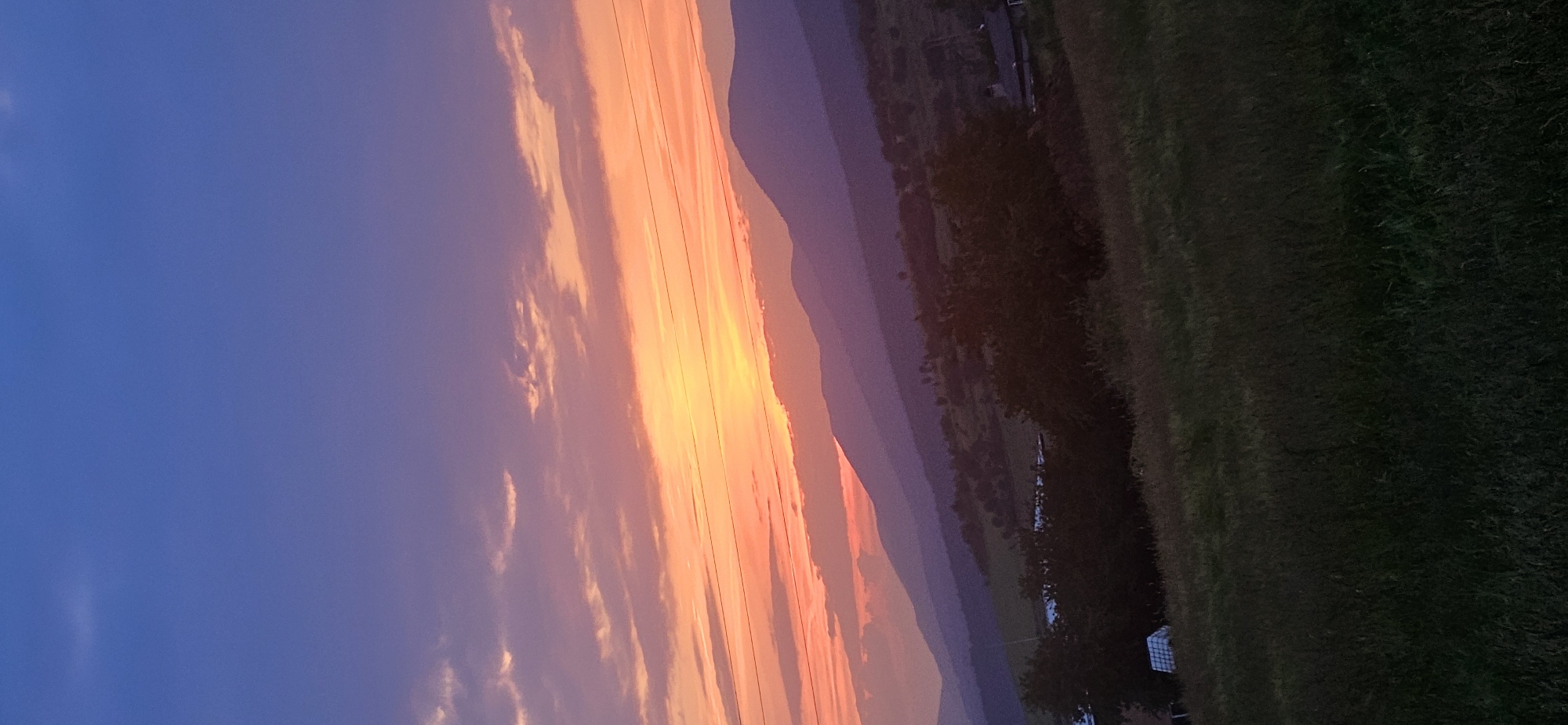The scene depicts a rural landscape at sunset or sunrise in Momin Prohod, Bulgaria. The sky transitions from a deep blue at the top, through purple-pink, to a vibrant orange and yellow at the horizon, indicating the position of the low sun. Stratocumulus clouds are horizontally distributed across the mid-sky, intensely illuminated by the orange and yellow light. Multiple thin, dark horizontal lines, consistent with power or utility lines, traverse the central-upper sky. The mid-ground consists of successive layers of mountains and hills, rendered in progressively lighter shades of blue and purple due to atmospheric perspective, silhouetted against the bright sky. Below the mountains, a treeline and patches of darker vegetation are visible. On the left mid-ground, a white cubic container or tank and parts of rooflines are discernible, alongside a dark building partially visible on the right. The foreground is dominated by a dense field of tall, dark green and brown grass, appearing largely in silhouette due to the low light. No human figures, animals, or specific activities are present.