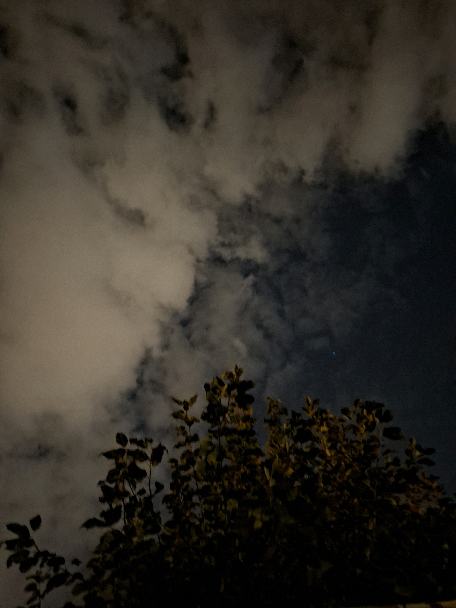 The image shows a nighttime scene with a dark sky filled with clouds and a single distant light, possibly a star or a distant airplane. In the foreground, the dark silhouette of tree branches with leaves is visible against the sky. The lighting is dim, with some areas of the clouds appearing brighter, suggesting moonlight. There is no visible indication of the city of Tyumen, Russia. The scene is still and there are no people or discernible actions.