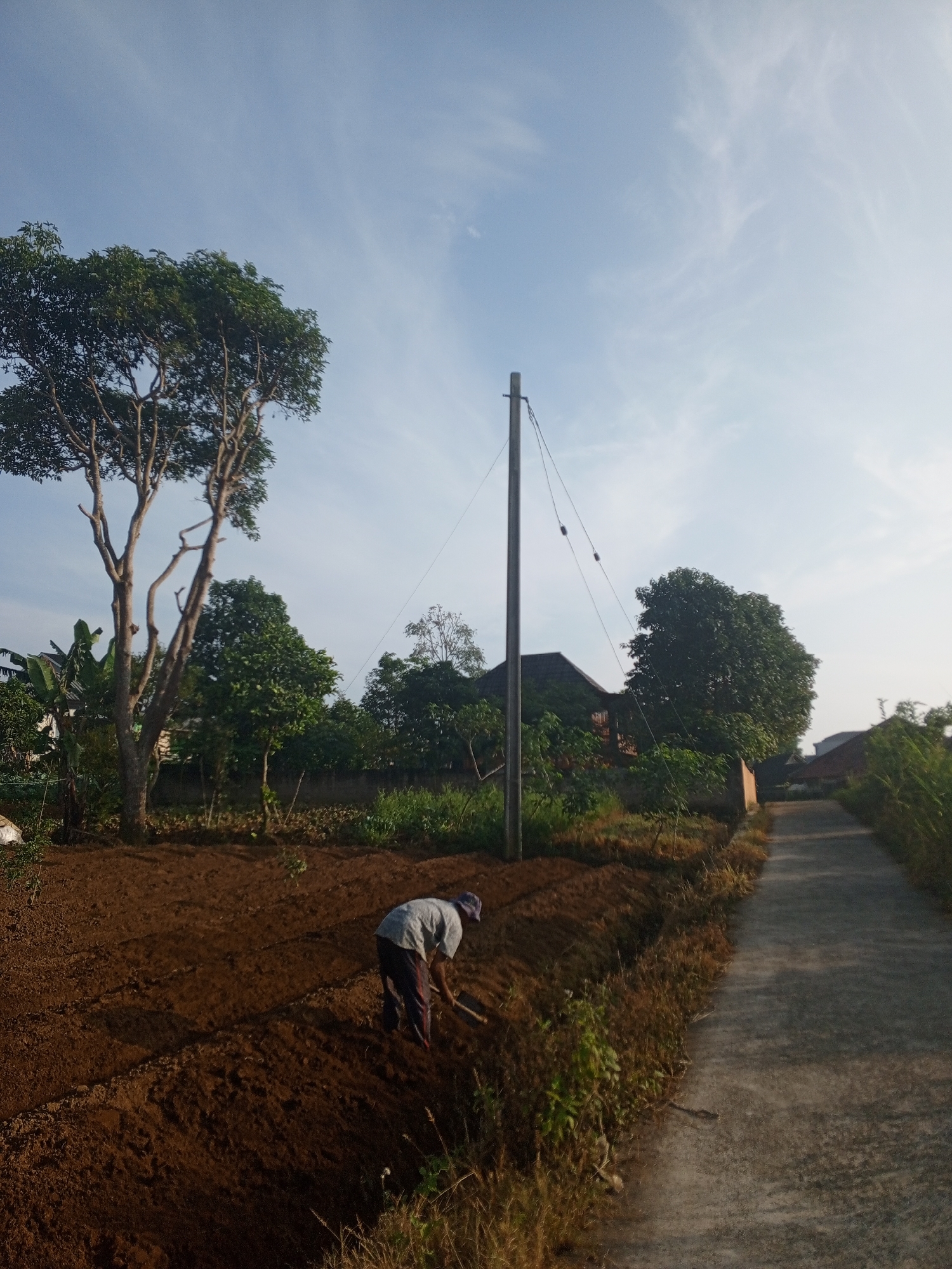 The image captures an outdoor scene in Weddagala, Sri Lanka, depicting agricultural activity alongside a rural pathway. In the foreground and midground, a person is engaged in working a plot of tilled, dark brown soil. The individual is seen from behind, bending over, wearing a light-colored top, dark pants, and a hat, using a hand tool, likely a hoe, to prepare or maintain the field.
To the right of the cultivated land runs a narrow, paved road or path, bordered by dry grasses and low vegetation. Dominating the left side of the frame is a large, leafy tree with multiple prominent branches, while other trees and denser foliage line the horizon and obscure parts of distant buildings or houses. A tall, slender utility pole stands prominently in the mid-right, with wires extending from it across the sky.
The sky above is a bright, clear blue with scattered, wispy white clouds, suggesting fine weather. The lighting indicates either early morning or late afternoon, as the sun casts long shadows and provides a warm glow across the scene. There is no visible text in the image. The overall setting combines elements of farming, natural vegetation, and a simple infrastructure, characteristic of a rural or semi-rural environment.