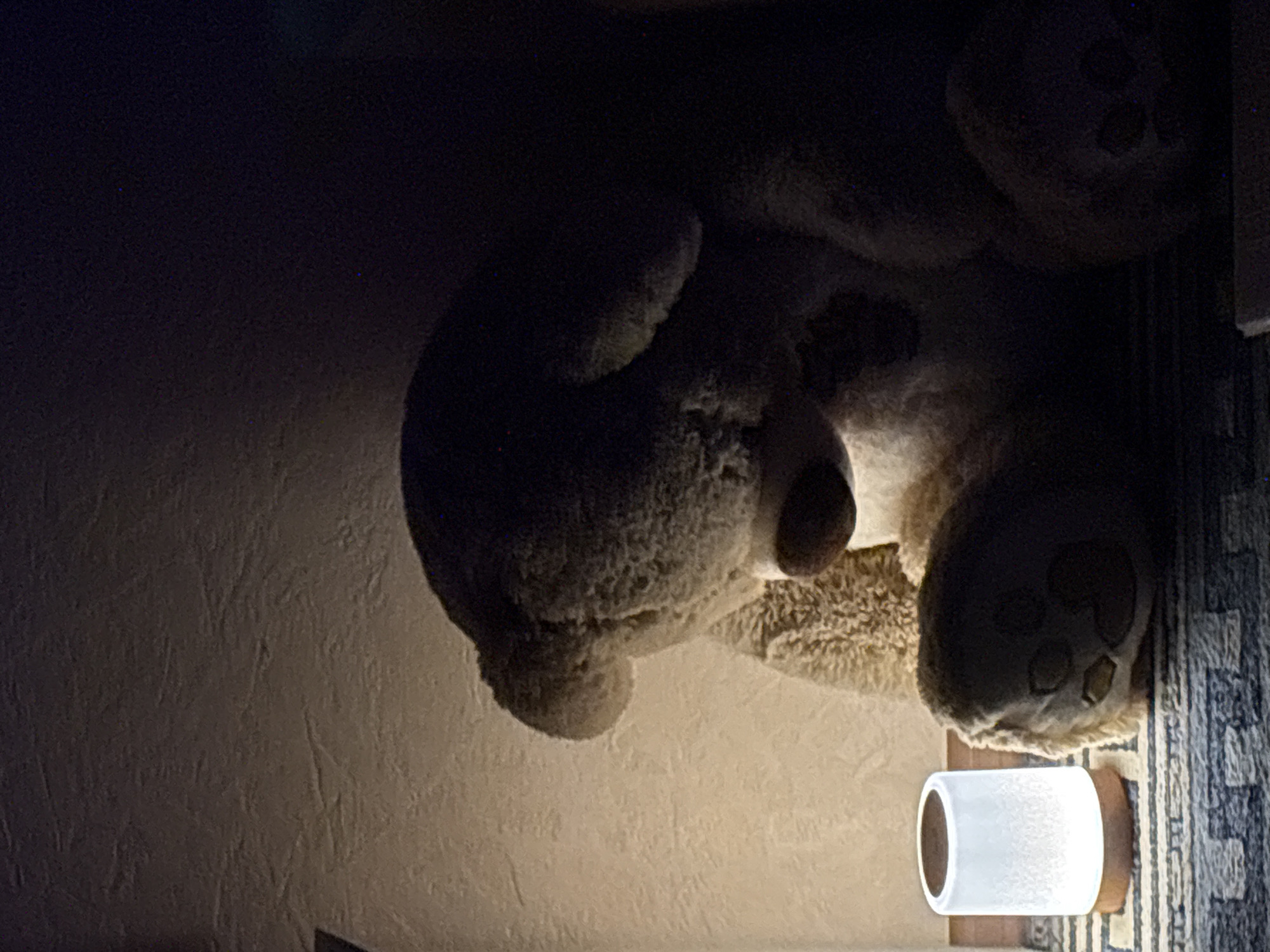 A dimly lit interior space features a plush teddy bear positioned next to a cylindrical wall sconce emitting a warm light. The wall appears textured and a portion of a patterned textile is visible. Due to the nature of the image and lack of specific location details within Votkinsk, I cannot give more information.