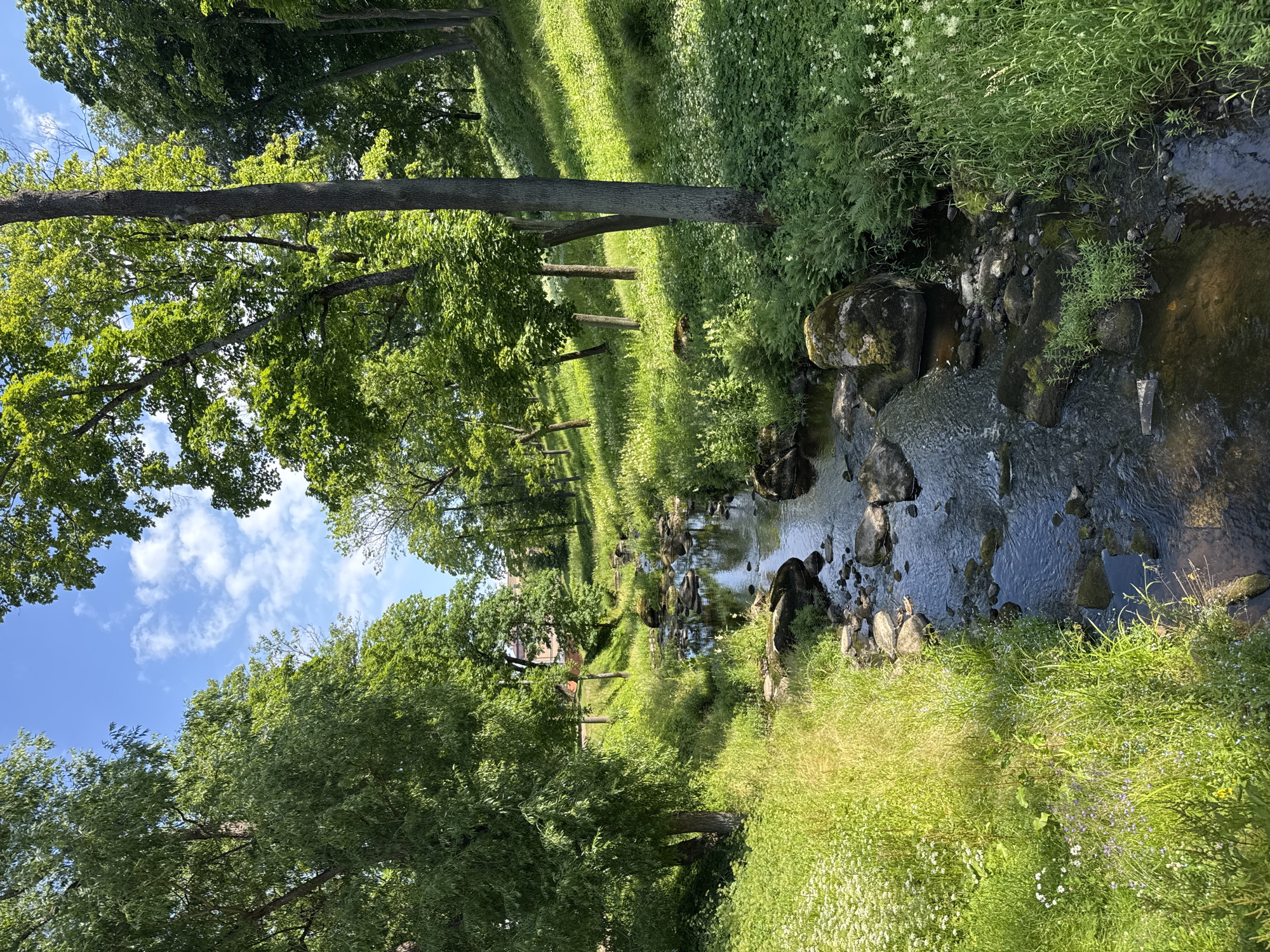 A winding stream flows through a lush green park in Lomonosov, Russia. Tall trees with dense green foliage line the banks, casting dappled shadows on the grassy slopes. The water, clear and shallow, tumbles over smooth stones and moss-covered rocks, creating gentle ripples. Wildflowers, predominantly white and purple, dot the vibrant green grass, adding splashes of color to the serene landscape. Sunlight filters through the leaves, illuminating patches of the scene with a warm glow. The sky above is a bright blue, dotted with fluffy white clouds, suggesting a pleasant, sunny day. In the background, hints of buildings can be seen through the trees, suggesting a park or estate setting. The overall atmosphere is one of tranquility and natural beauty.