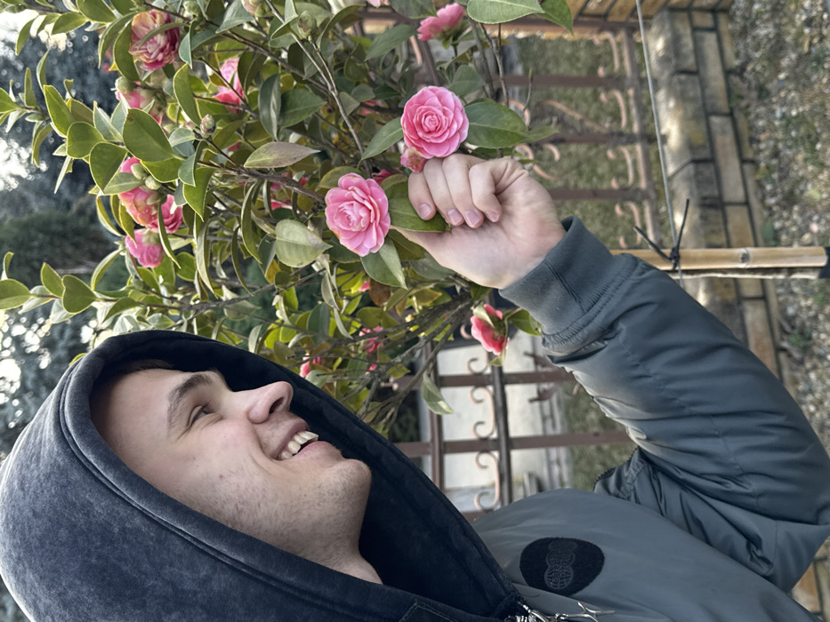 A male individual is observed outdoors in the City of Lenina, Russia. The subject, a young adult, is seen in profile from the chest up, wearing a dark grey hooded sweatshirt with the hood pulled up and a dark green bomber jacket with a black circular patch on the left sleeve. He is smiling and looking towards his right, where his right hand is gently touching or holding the stem of a vibrant pink camellia flower. The flower is part of a larger plant with multiple green leaves and additional pink blossoms, which is supported by two bamboo stakes secured with black zip ties. Behind the plant, a dark metal fence with decorative scroll patterns is visible, positioned above a segment of a brick wall or planter. The background consists of blurred greenery, suggesting trees or shrubs.