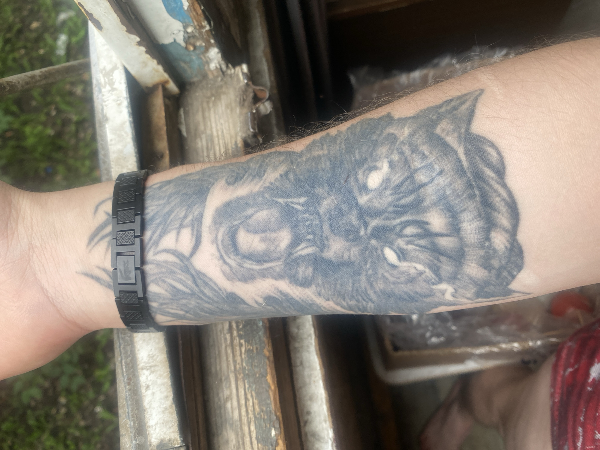The image shows a close-up of a person's forearm with a black and gray tattoo of what appears to be a snarling animal's face, possibly a wolf or a dog. The tattoo is detailed and covers a significant portion of the forearm. On the wrist, there is a black metal bracelet with a textured pattern. The background is blurred but suggests an outdoor setting with some greenery and what looks like weathered wood or metal structures, potentially part of a fence or an old building. The lighting is natural, and the image is taken from a medium close-up perspective. There is no identifiable location in the city of Samara, Russia, or any other specific geographical indicators within the provided image.