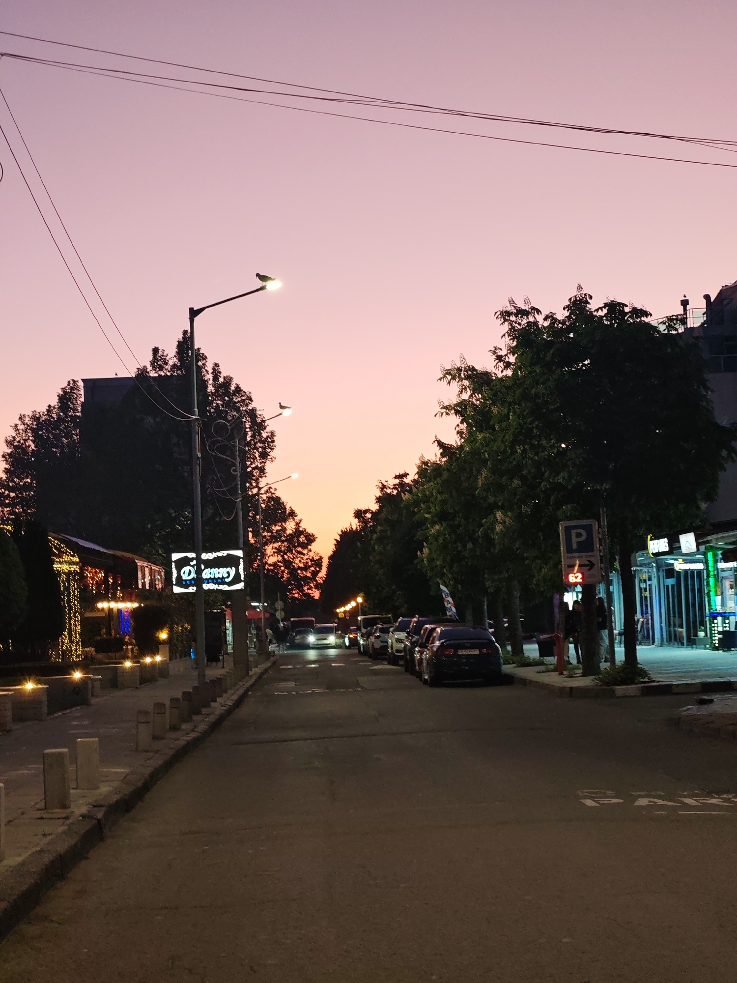 The image shows a street in the city of Nesebar, Bulgaria, at dusk. The sky is a blend of pink and orange hues. A street lamp, with a bird perched on top, is on the left side of the street. Overhead power lines run across the sky. Buildings line both sides of the street. On the left, a restaurant named "D'Danny" is visible, illuminated with lights. Cars are parked along the right side of the street under trees. A parking sign is visible. The street is paved and leads into the distance where other vehicles and streetlights can be seen. The overall impression is that of a quiet evening in a residential or commercial area.