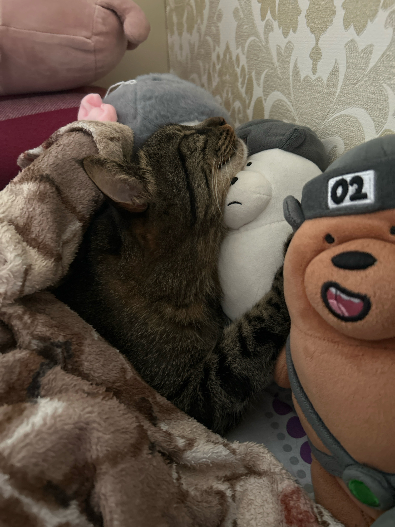 A tabby cat is nestled among plush toys on a bed. The cat is curled up, with its head resting on a white bear plush. A brown bear plush with a gray hat is positioned in the foreground to the right. A patterned blanket covers the cat and other toys. The background consists of a wall with patterned wallpaper. The image appears to be taken indoors, likely in a bedroom. There is no indication of the city of Khyrdalan, Azerbaijan.