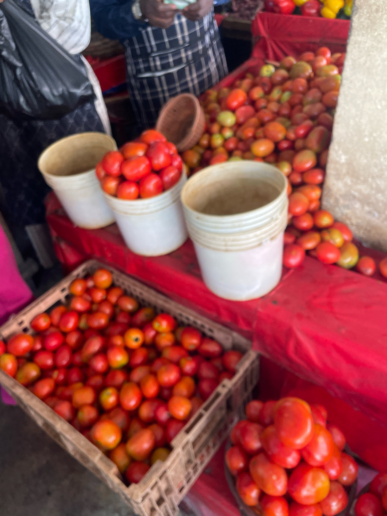 In the city of Kubwa, Nigeria, a market stall displays an abundance of fresh red tomatoes. Three white buckets filled with tomatoes are visible on a red surface. To the left, a person's arm is visible, wearing a black plastic bag over their arm. In the background, more tomatoes are piled high. A basket of tomatoes is in the foreground, and another person is partially visible in the upper left, wearing a white and black striped shirt. The overall scene is a bustling market environment, with a focus on the sale of fresh produce.