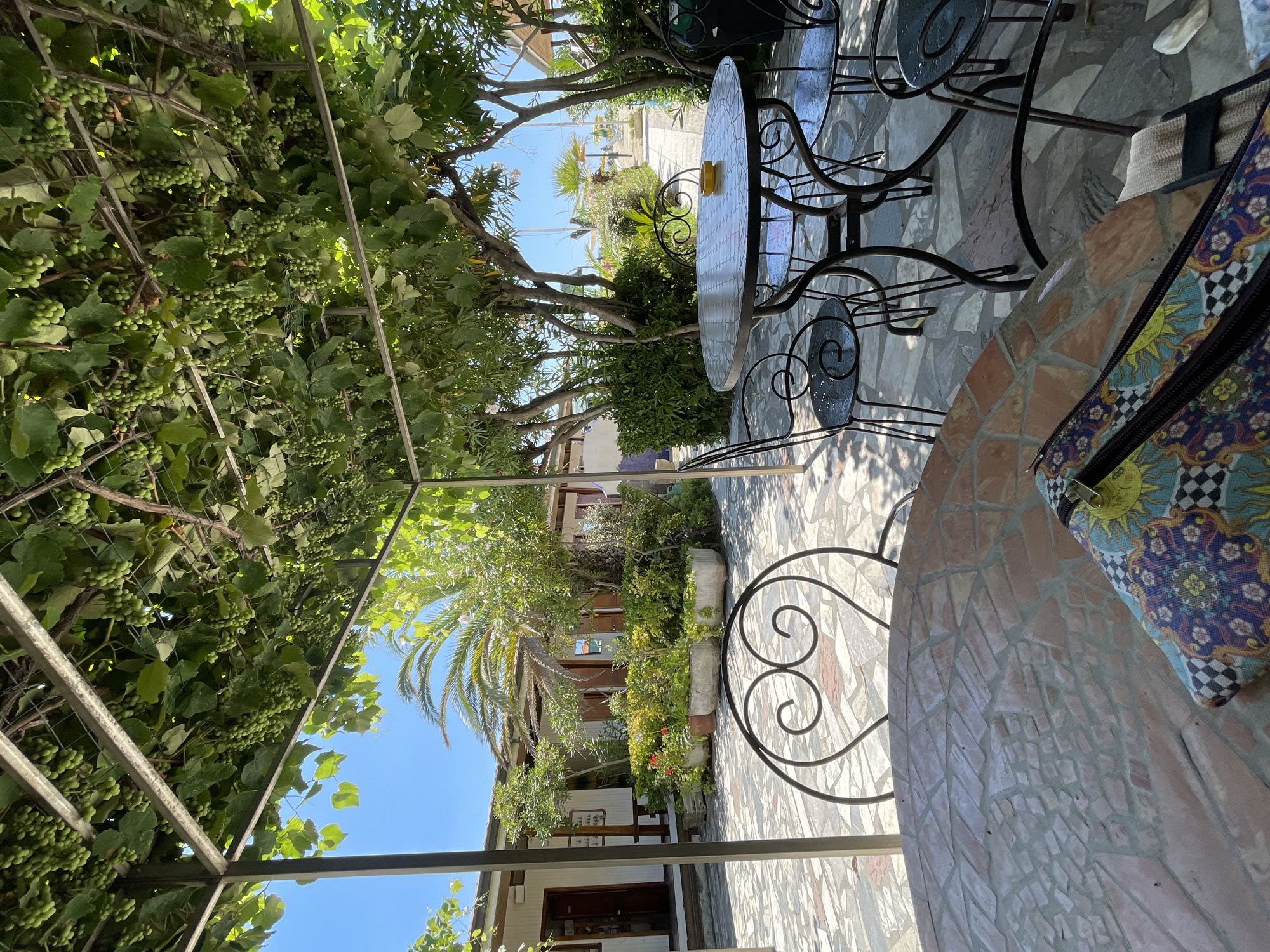 In Viareggio, Italy, a partially covered outdoor seating area for a cafe or restaurant is depicted. The seating area is shaded by a trellis laden with unripe green grapes, supported by a metal frame. In the foreground, a mosaic-topped table is visible with a colorful patterned bag resting on it. Behind this table, there are several wrought-iron chairs with decorative swirls. A second, larger round table with a similar mosaic top is situated further back, surrounded by more wrought-iron chairs. In the background, a building with white siding and dark trim is present, with planters filled with greenery and some red flowers. Beyond the building, palm trees and other vegetation are visible, and a glimpse of the beach and the sea can be seen in the distance under a clear blue sky. The ground is paved with irregularly shaped stones in shades of grey, beige, and pink.