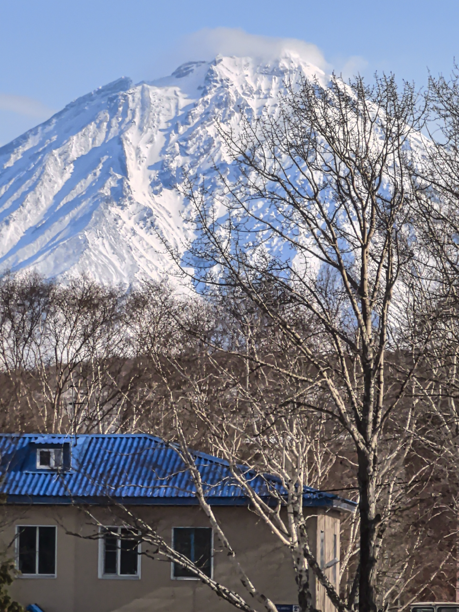 The image shows a scene in an urban environment, possibly a town or city, with a view towards a large, snow-covered mountain in the background. In the foreground, there is a two-story building with a blue, corrugated metal roof. The building is beige or gray. Several trees with bare branches are visible in front of the building, partially obscuring it. The sky is blue with a few scattered clouds. The overall impression is of a cold, possibly winter day in a mountainous region. The location is Unknown, Unknown.