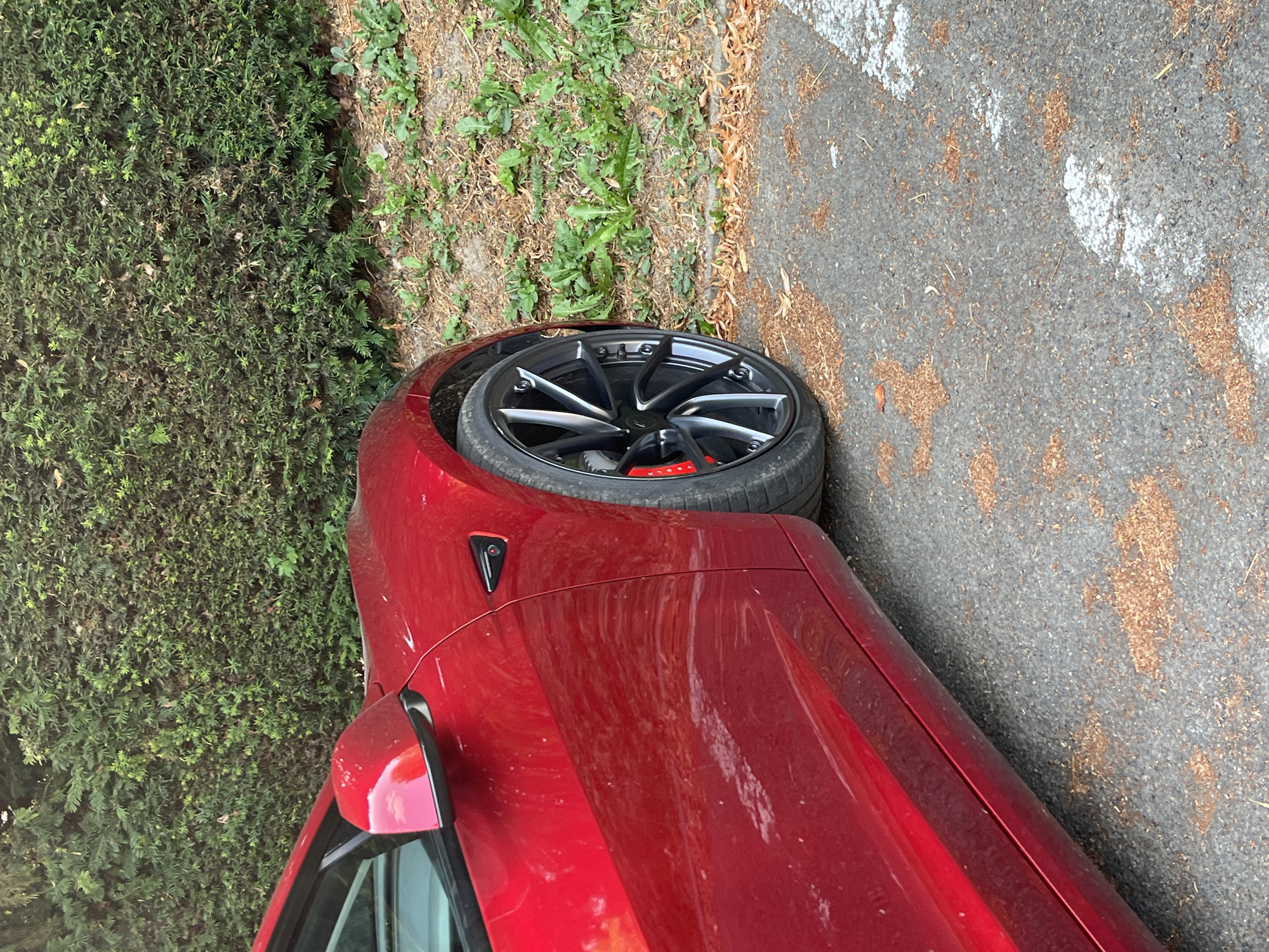 The image shows the side of a red Tesla car parked next to a dense green hedge and a grassy area. The car's front wheel, with a multi-spoke black rim and red brake calipers, is visible. The ground is asphalt, covered with a scattering of dry leaves and small twigs. A white line, likely a parking space marker, is visible on the asphalt. The setting appears to be an outdoor location, possibly a street or parking area in Saint-Vith, Belgium. There are no people or any immediate actions depicted.