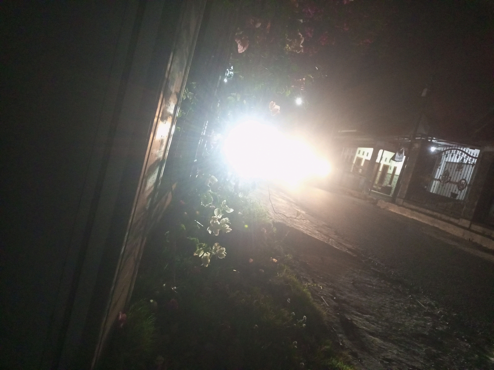 This is a nighttime, low-light photograph taken from a tilted perspective in the city of Ngasem, Indonesia. The scene appears to be a street or pathway adjacent to a building and foliage. A strong, bright light source, likely headlights of a vehicle, is prominently featured in the center left of the image, casting a wide glare and obscuring details in that area.
To the left of the bright light, there is a dark, vertical structure that could be a wall or a building facade, partially illuminated by ambient light. In front of this structure and extending towards the light source is a patch of dark green vegetation, appearing to be grass or ground cover, with some scattered small white flowers or buds. Above the vegetation and near the light source, there are clusters of pink and white flowers, possibly bougainvillea, on a plant that is heavily affected by the glare.
To the right of the bright light, a dark, wet-looking asphalt surface extends into the distance, suggesting a road or a paved area. In the background, on the right side of the image, there is a building with an illuminated doorway or window and a decorative metal gate. The gate has vertical bars and ornate scrollwork. The overall atmosphere is dark and somewhat hazy due to the intense light and low visibility conditions. No people are visible in the frame.