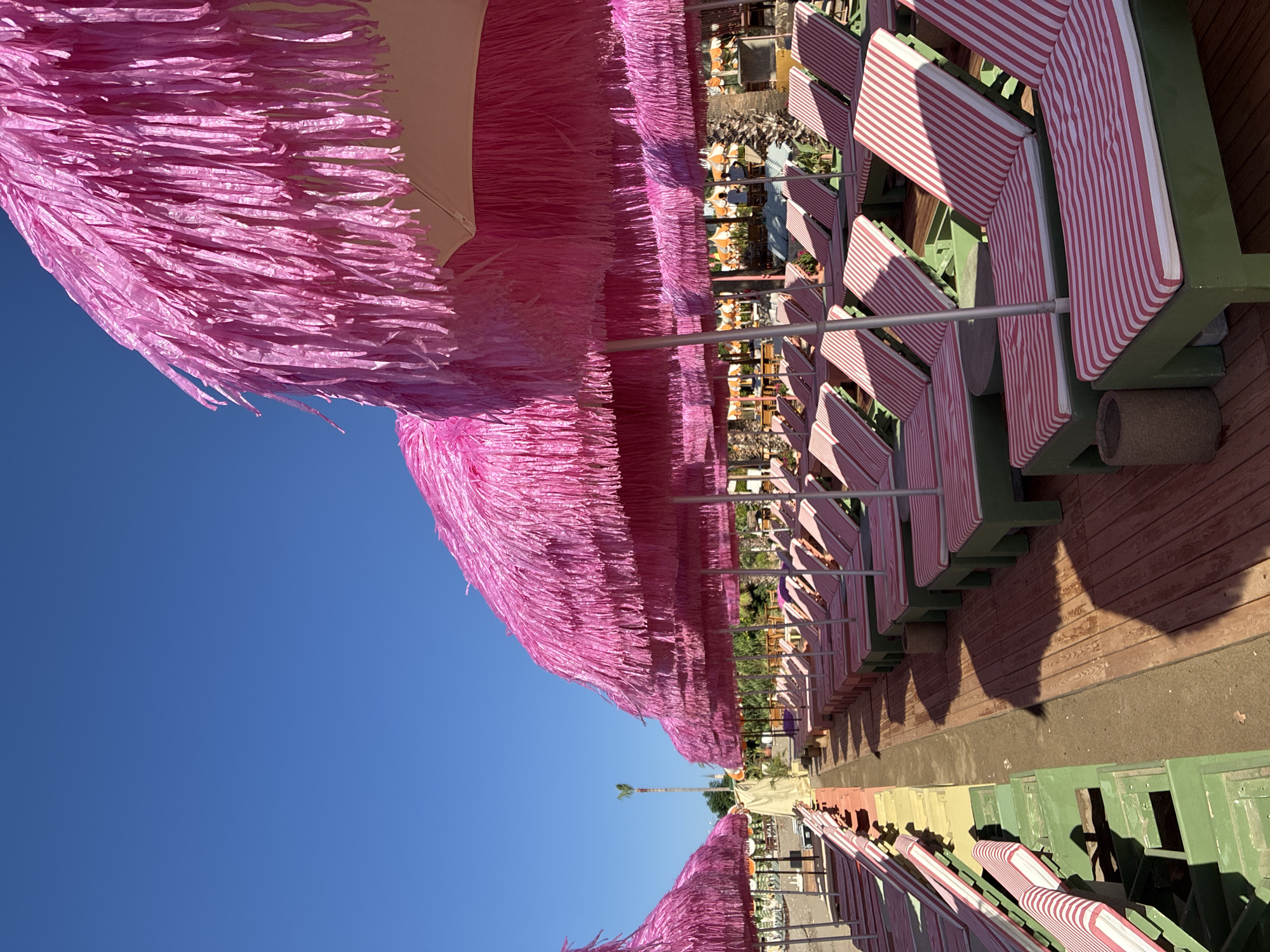 The image depicts a row of empty beach chairs and umbrellas in Alanya, Turkey. The scene is outdoors on a sunny day, with a clear blue sky. The beach chairs have green frames and red and white striped cushions. They are arranged in neat rows on a wooden deck. The umbrellas are large and vibrant pink, with a fringe-like texture. In the background, there are more beach chairs and umbrellas, as well as some palm trees and buildings. There are no people visible in the immediate foreground, but a few figures can be seen in the distance, suggesting a public beach or resort area. The overall impression is one of a well-maintained and colorful leisure space.