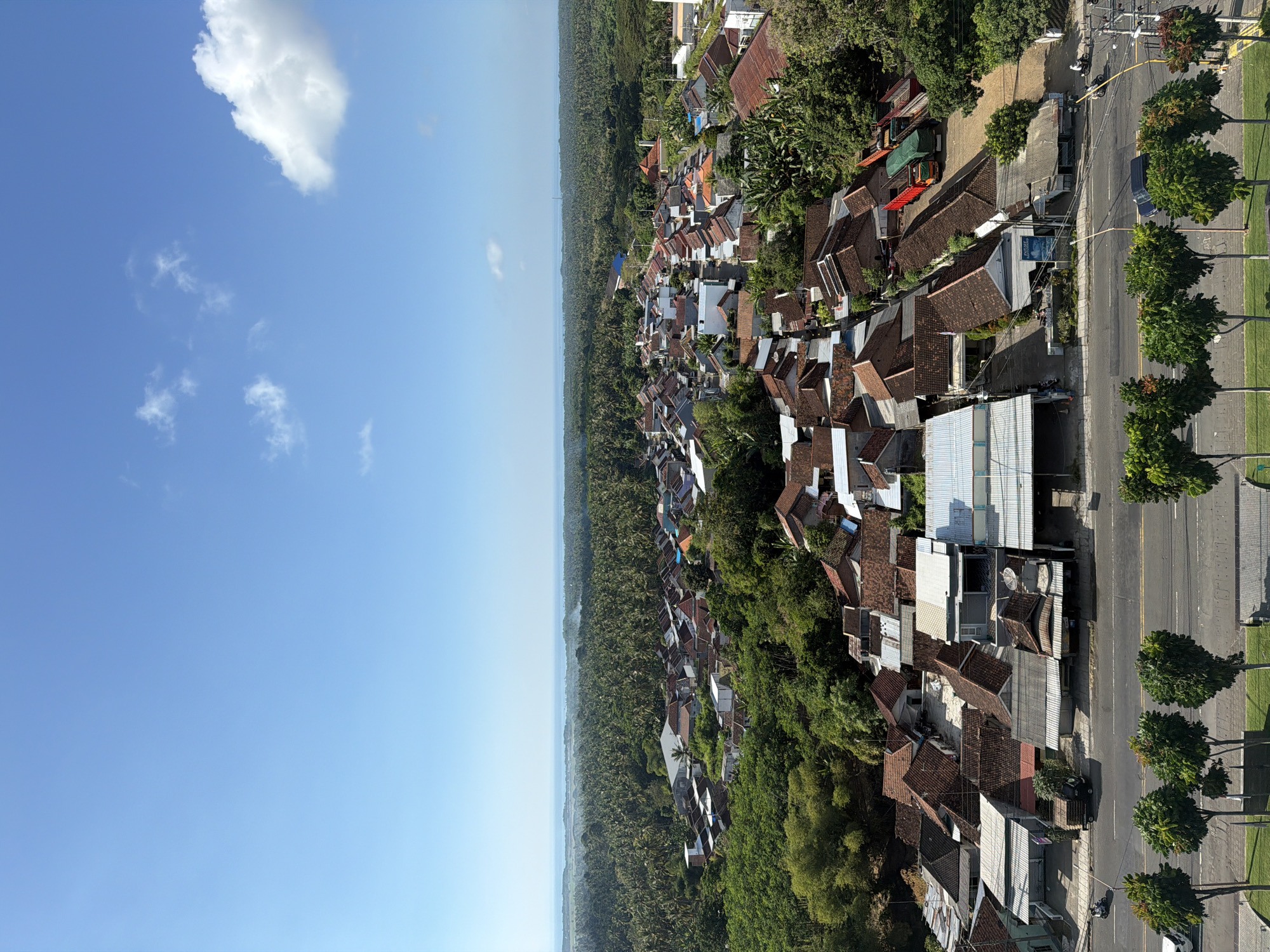 This is an aerial, vertical photograph capturing a village nestled between lush green foliage and a road. The scene is dominated by a dense canopy of trees, likely coconut trees, that stretch towards the horizon where a faint line suggests the presence of the ocean. A collection of houses with distinct tiled roofs, primarily terracotta and some metallic silver, are scattered throughout the village. The houses vary in size and design, indicating a residential area.
A paved road runs along the edge of the village, bordered by trees and a grassy strip. There are a few vehicles visible on the road, including a motorcycle and a car, suggesting moderate activity. Some streetlights and utility poles are also present. The architecture of the houses, particularly the tiled roofs and the general layout, points to a tropical location.
The sky is a clear, bright blue with a few scattered white clouds, indicating a sunny day. The lighting suggests it is daytime, likely mid-morning or afternoon, given the shadows cast by the buildings and trees. The overall impression is one of a vibrant, lived-in community in a tropical, possibly coastal, environment. No discernible text is visible in the image. The scene appears peaceful and captures a slice of everyday life in this Indonesian village.