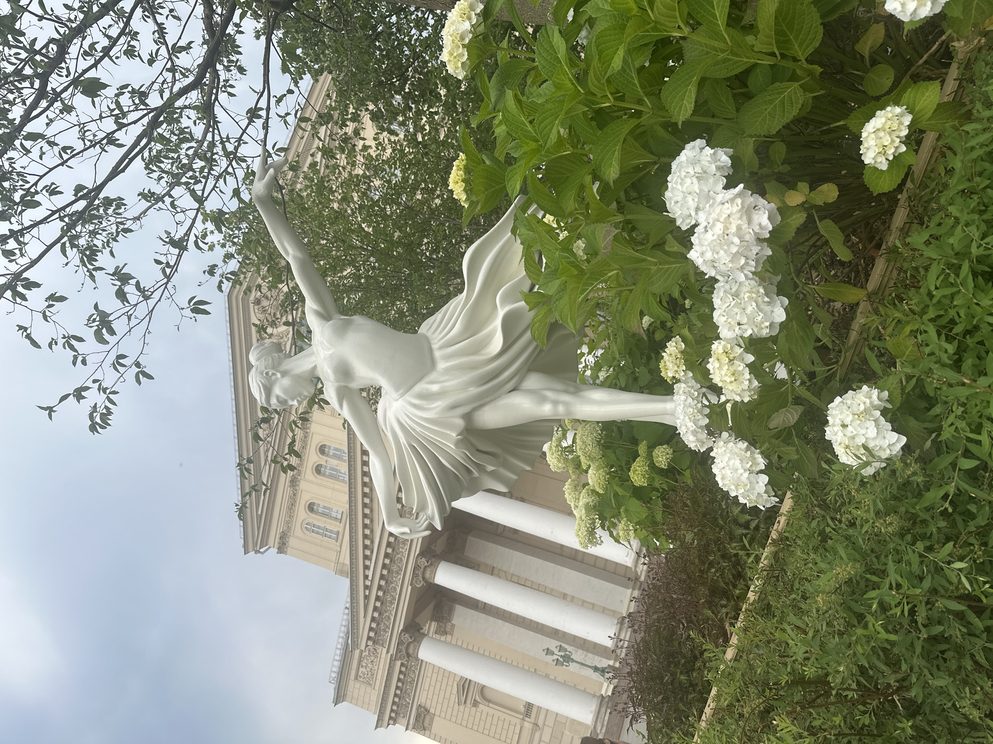 This is a photograph of a white sculpture of a ballerina in a dynamic pose, with her arms outstretched and her skirt flowing. The sculpture is situated in front of a grand building with classical architecture, characterized by large white columns and intricate facade details. In the foreground and surrounding the sculpture are lush green bushes and clusters of white hydrangeas, some in full bloom and others with a pale yellow hue. A tree with delicate branches and green leaves extends into the upper right corner of the frame, partially obscuring the sky, which is overcast and light gray. The scene appears to be outdoors, in a public space. This iconic building is the Bolshoi Theatre, located in Teatralnaya Square in Moscow, Russia. There are no people visible in the immediate vicinity of the sculpture.