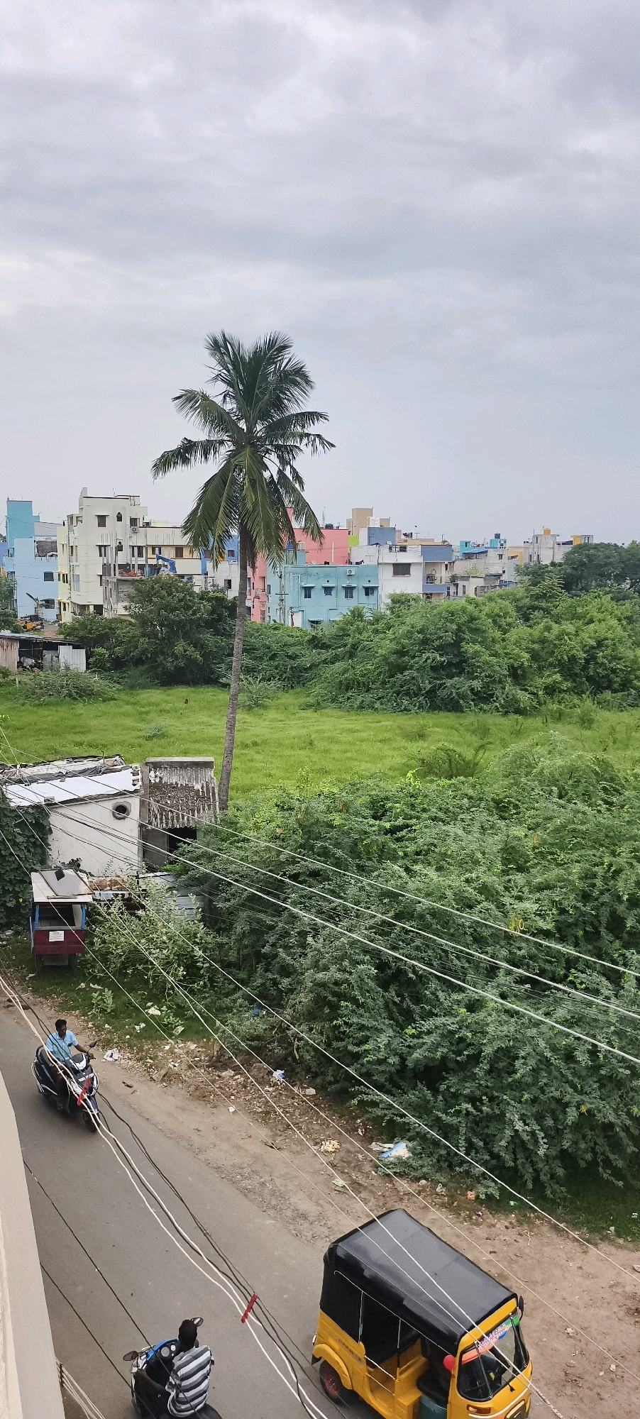 This image depicts an overcast day in Kundrathur, India, showcasing a mix of urban development and overgrown greenery. In the foreground, a paved road runs diagonally across the frame, with two motorcycles and a yellow auto-rickshaw visible. One motorcycle, ridden by a man in a light blue shirt, is heading away from the viewer. Behind him, another motorcycle with two occupants, one in a striped shirt, is also moving away. The auto-rickshaw, with its black roof and yellow body, is further down the road, also moving away.
Along the side of the road, there is a small, white, utilitarian building with a corrugated metal roof and some signs of disrepair. A small, red and blue cart with a sign is attached to its side. Overgrown green bushes and trees dominate the midground, obscuring much of the landscape.
In the background, a dense cluster of multi-story buildings, painted in various bright colors including pink, blue, and yellow, are visible. A tall, slender palm tree stands prominently in front of these buildings, its fronds reaching towards the grey sky. The sky is filled with a thick layer of clouds, suggesting a lack of direct sunlight. The overall impression is one of a densely populated area with pockets of untamed vegetation.