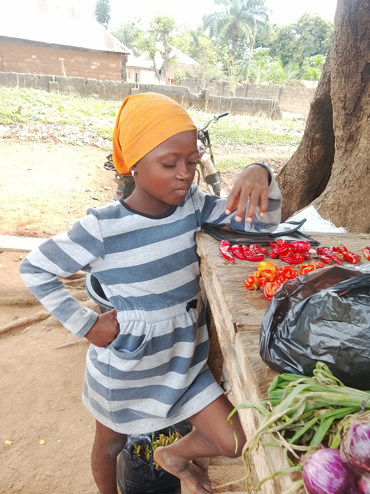 A young girl stands barefoot beside a wooden market stall in an outdoor setting, likely in Akwanga, Nigeria. She wears a bright orange textured headwrap, embellished with small dots, and a long-sleeved dress featuring horizontal grey and light-grey stripes. A silver stud earring is visible in her left ear. Her gaze is directed downwards, appearing contemplative or focused, with one hand resting lightly on the table and the other on her hip.
The rustic wooden stall displays an assortment of fresh produce. Piles of vibrant red and orange/yellow peppers are arranged on the table, alongside a bunch of green onions or scallions and two prominent reddish-purple onions. A black plastic bag and a dark wallet or pouch are also visible on the table.
The ground is unpaved, consisting of reddish-brown dirt. In the background, a bicycle or motorbike is partially visible behind the girl. Further back, there are simple buildings with what appear to be mud-brick walls and corrugated metal roofs, surrounded by lush green foliage and trees. A large, gnarled tree trunk borders the right side of the frame, providing natural shade. The natural lighting suggests it is daytime, possibly morning or early afternoon, under clear skies. No visible text is present in the image.