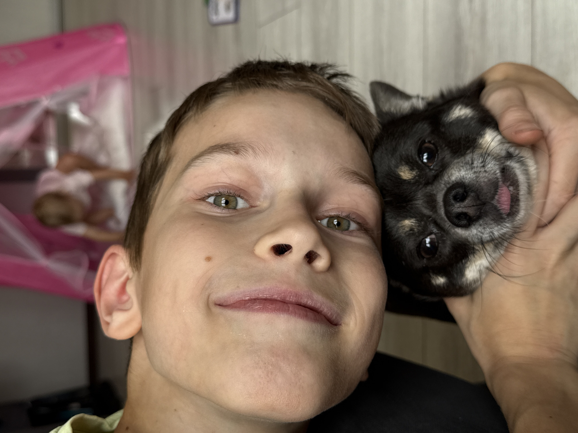 An inverted, close-up photograph shows a child's face and a small dog. The child's head is tilted, with one eye and part of the mouth and nose visible. The child's left ear is also visible. The child is smiling. The dog's head is resting on the child's chest or shoulder, with its eyes looking forward and its tongue slightly out. The dog is black and tan. In the background, out of focus, is a pink play tent with a toddler crawling inside. The floor appears to be light-colored wood or laminate. The image is taken indoors, likely in a residential setting. There is no information about the location being in Moscow, Russia.