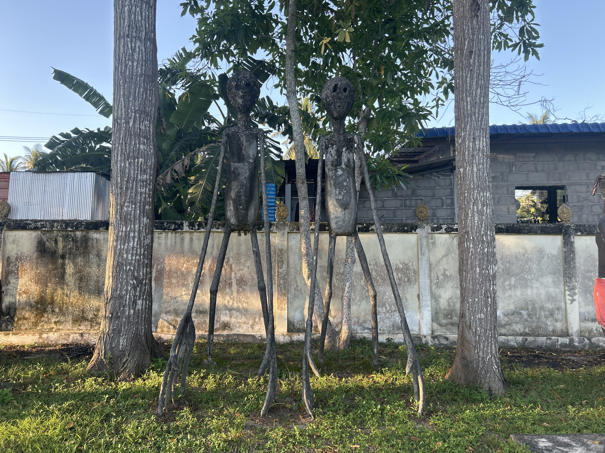 The image shows two abstract, humanoid sculptures standing in front of a weathered concrete wall, situated between two large trees. The sculptures appear to be made of concrete or a similar material, with rough, textured surfaces and hollowed-out features for eyes and mouths. They have elongated bodies and thin, spindly legs that splay outwards from their bases. The one on the left is slightly taller and positioned closer to the viewer.
Behind the wall, a grey brick building with a blue-tiled roof is visible, along with corrugated metal structures. Tropical foliage, including large banana leaves, frames the scene from behind the sculptures. The ground in front of the wall is covered in green grass and scattered leaves, with dappled sunlight casting shadows. The overall setting suggests an outdoor location in a tropical climate, possibly a yard or a roadside. The sculptures' design is primitive and somewhat unsettling, evoking a sense of the uncanny. The scene is peaceful, with a clear blue sky overhead, suggesting it was taken during the day. The location is identified as Ko Phangan, Thailand.