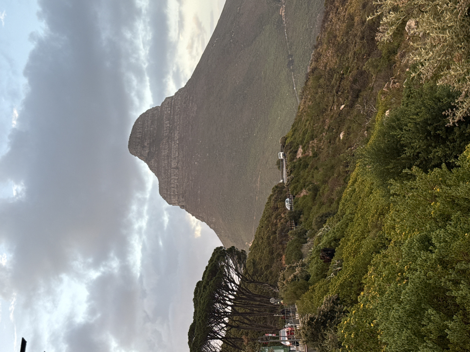 The image shows a mountain near Cape Town, South Africa, possibly Lion's Head or Signal Hill, viewed from a high vantage point. The mountain's rocky peak is visible, with a gradient of green vegetation covering its slopes. A road winds along the mountainside, carrying a few white vehicles. To the right, the scene transitions to denser greenery. A row of trees with dark trunks extends across the lower part of the image, with some infrastructure visible beneath. The sky is overcast, with dark clouds dominating the upper left corner.