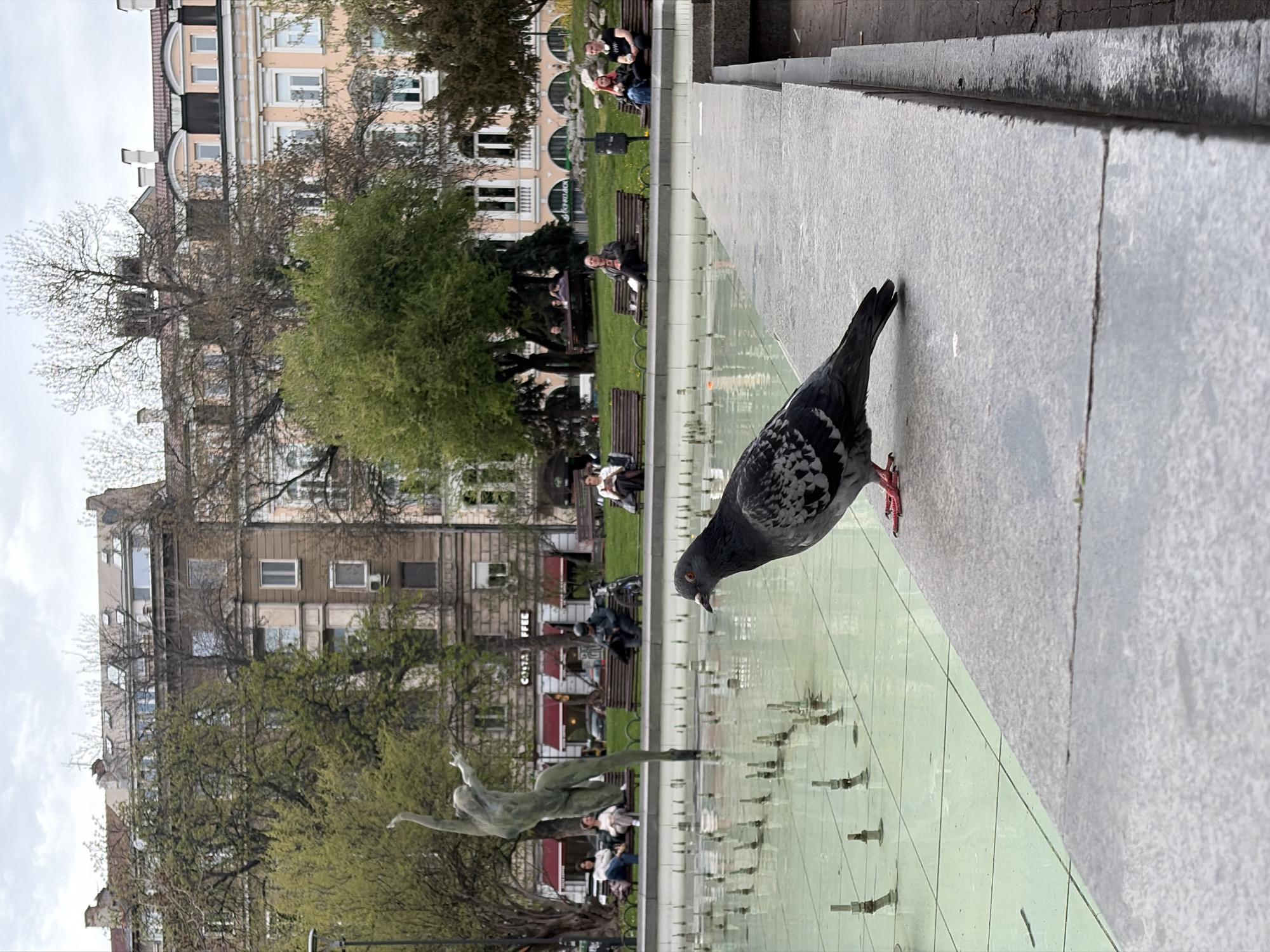 This daytime image captures a vibrant urban park or plaza scene in Sofia, Bulgaria, under an overcast sky. In the foreground, a grey pigeon with distinctive white and black wing markings stands on the light grey concrete edge of a shallow, rectangular fountain or reflective pool, tilting its head down as if drinking or looking at its reflection. Its red feet are visible.
The clear water of the fountain, equipped with small nozzles, subtly reflects the sky and elements behind it. To the left of the fountain, a slender, light-colored statue of a person in motion is visible, also reflected in the water.
In the mid-ground, beyond the fountain, there is a green grassy area dotted with trees, some with new spring foliage and others with fuller green leaves. Several wooden park benches are occupied by people relaxing, conversing, or observing their surroundings.
The background features multi-story buildings with varied architectural styles. One building on the left has a light pinkish-beige facade with arched window details, while another to the right appears darker brown. Windows and some air conditioning units are visible on these structures. A red awning on one building clearly displays the text "COSTA COFFEE."
The scene depicts a peaceful and relaxed urban environment, with people enjoying the public space on a mild, overcast day.