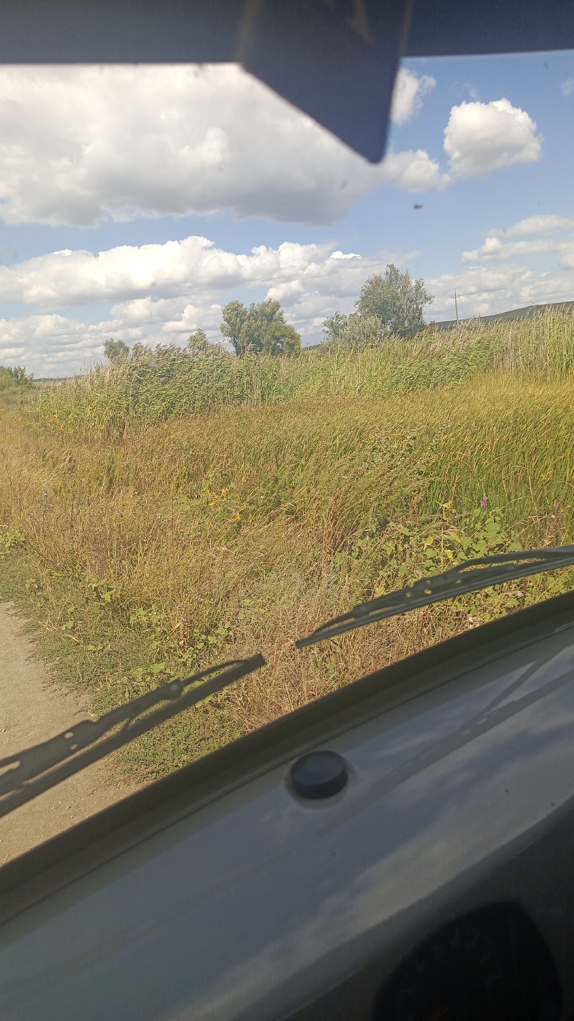 The image depicts a view from inside a vehicle, looking out through the windshield. The windshield wipers are visible in the foreground. Outside the vehicle, a dirt road runs along the left side, bordered by a field of tall, dry grass and some greenery. In the background, there are trees and a power line, with a cloudy blue sky above. The overall scene suggests a rural or semi-rural setting. While the image itself does not contain explicit indicators of the city of Oktyabr'skii Gorodok, Russia, it is presented as being from that location.