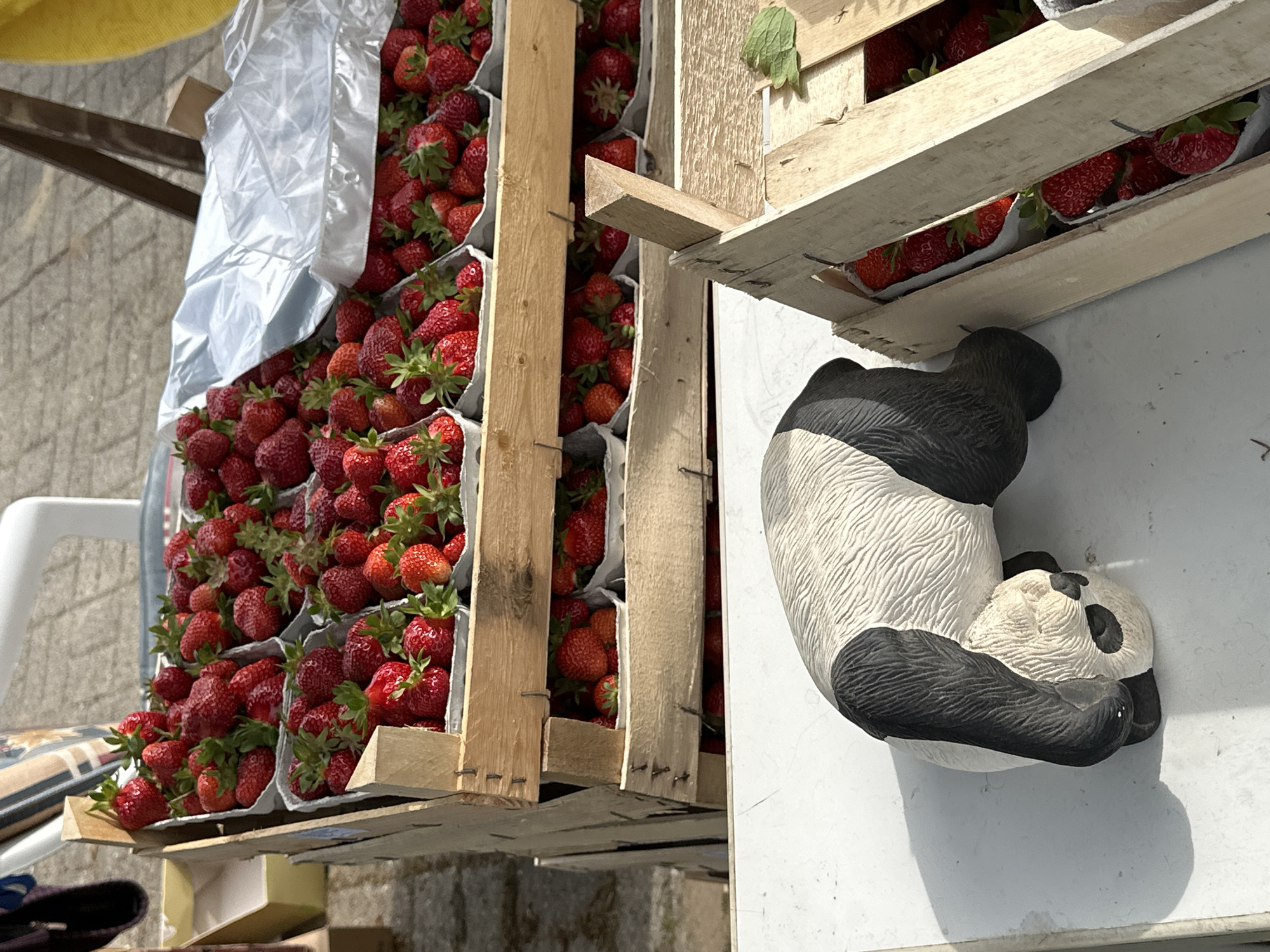 The image shows several wooden crates filled with strawberries. A decorative panda figurine rests on a surface next to the crates. The location is Bargstedt, Germany.