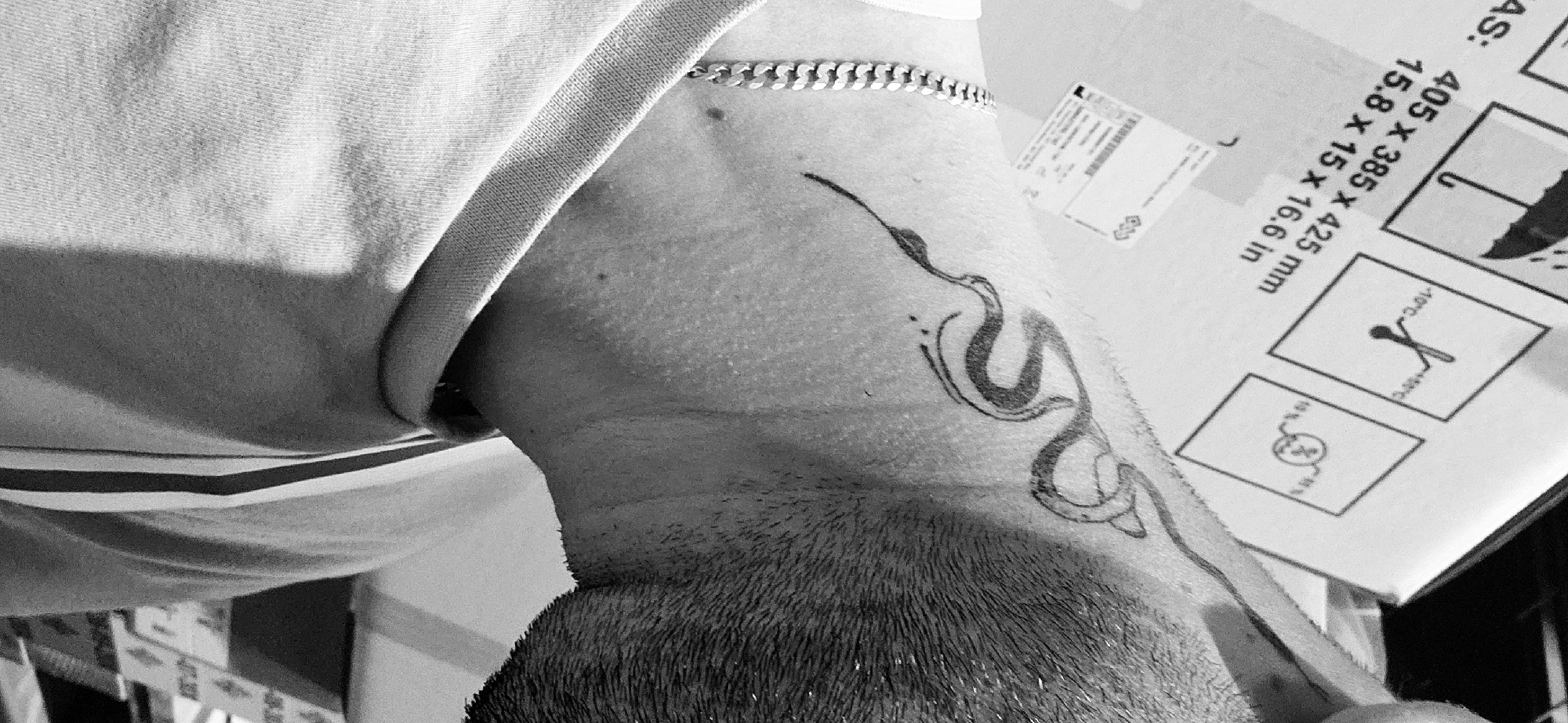 The image shows a close-up of a person's neck and upper back, featuring a tattoo of a stylized serpent extending from the neck down towards the back of the head. The person is wearing a light-colored, collared shirt and a silver chain necklace is visible. The back of the head shows short, dark hair. Adjacent to the neck is a white box with printed text and graphic symbols. The text includes dimensions "405 x 385 x 425 mm" and "15.8 x 15 x 16.6 in", along with the indication "AS:". The box also displays a symbol indicating temperature range. The image is black and white. The location in Plovdiv, Bulgaria is unknown.