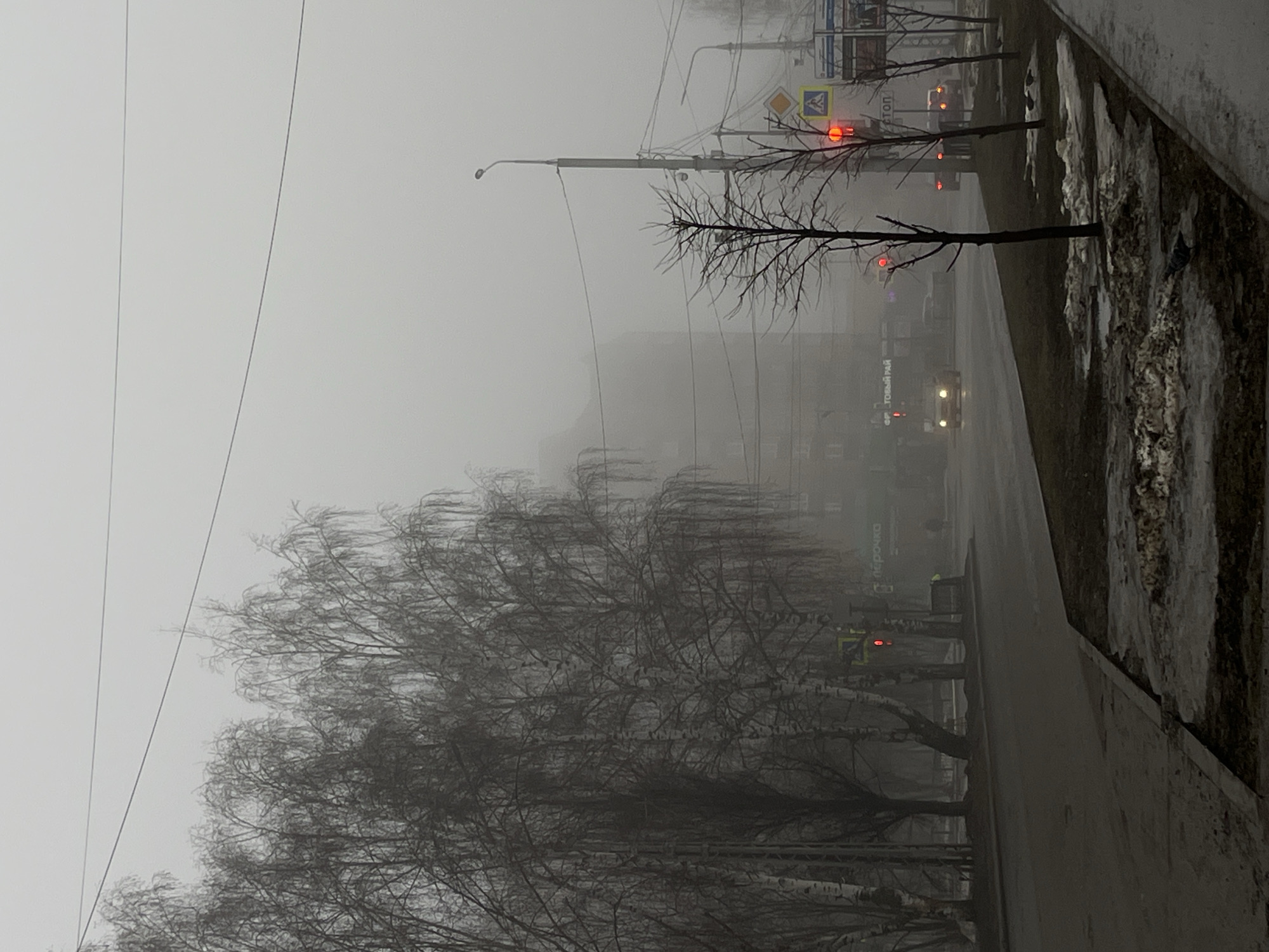 This image depicts a hazy street scene in Neftekamsk, Russia. In the foreground are leafless trees. Beyond the trees, the cityscape fades into the heavy fog. A vehicle with its headlights on is visible in the middle ground. Traffic lights can be seen in the distance, along with street signs. Snow remains on the sidewalk edge. Utility lines stretch across the sky.
