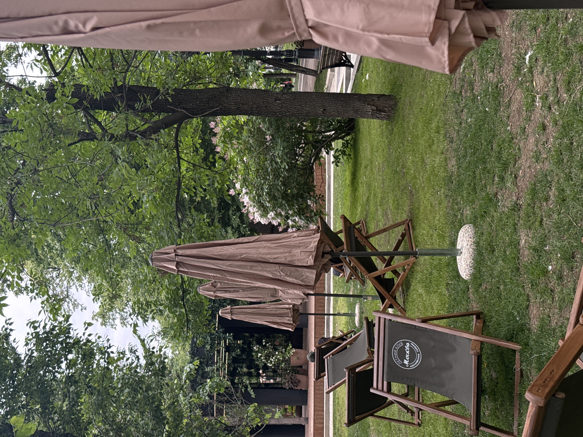 This image captures an empty outdoor seating area, likely part of a café, restaurant, or club, set amidst a lush green environment. The scene is viewed from a slightly elevated or inward perspective, with the upper portion of a large, closed beige umbrella framing the top.
In the foreground and midground, several wooden deck chairs with dark green fabric seats are arranged, accompanied by matching closed patio umbrellas. One chair prominently displays a white circular logo on its back, featuring Cyrillic text: "ЛЕТНИЙ КЛУБ" (Summer Club) at the top, "Москва" (Moscow) in the center, and "СОКОЛЬНИКИ" (Sokolniki) at the bottom, confirming the location within Sokolniki Park in Moscow, Russia. The chairs are made of light brown wood and dark fabric.
Beyond the seating arrangements, a vibrant green lawn stretches, with some areas showing signs of wear or patchy grass. Several large trees with dense green foliage dominate the background, providing natural shade. A thick tree trunk stands prominently to the left of the frame, with its branches extending across. Behind the trees, glimpses of a paved path, a dark street lamp, and possibly a wooden bench suggest a park-like setting. Some bushes with light pink or white blossoms add a touch of color to the verdant scene. The natural light filtering through the leaves indicates it is daytime, under what appears to be an overcast or partly cloudy sky. The overall atmosphere is tranquil and inviting, with no people visible, suggesting a quiet moment before or after an event, or a peaceful afternoon.