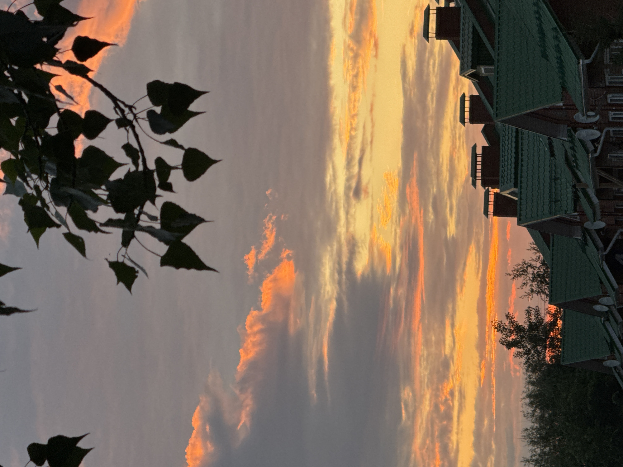 The image depicts a sunset over a residential area in Chaikovsky, Russia. Silhouetted tree branches with dark green leaves hang over a sky filled with dramatic clouds painted in hues of orange, pink, and purple. Below the sky, a row of houses with dark green roofs and brick chimneys is visible. The architecture suggests a modern suburban or village setting. The overall atmosphere is serene and evocative of the end of the day.