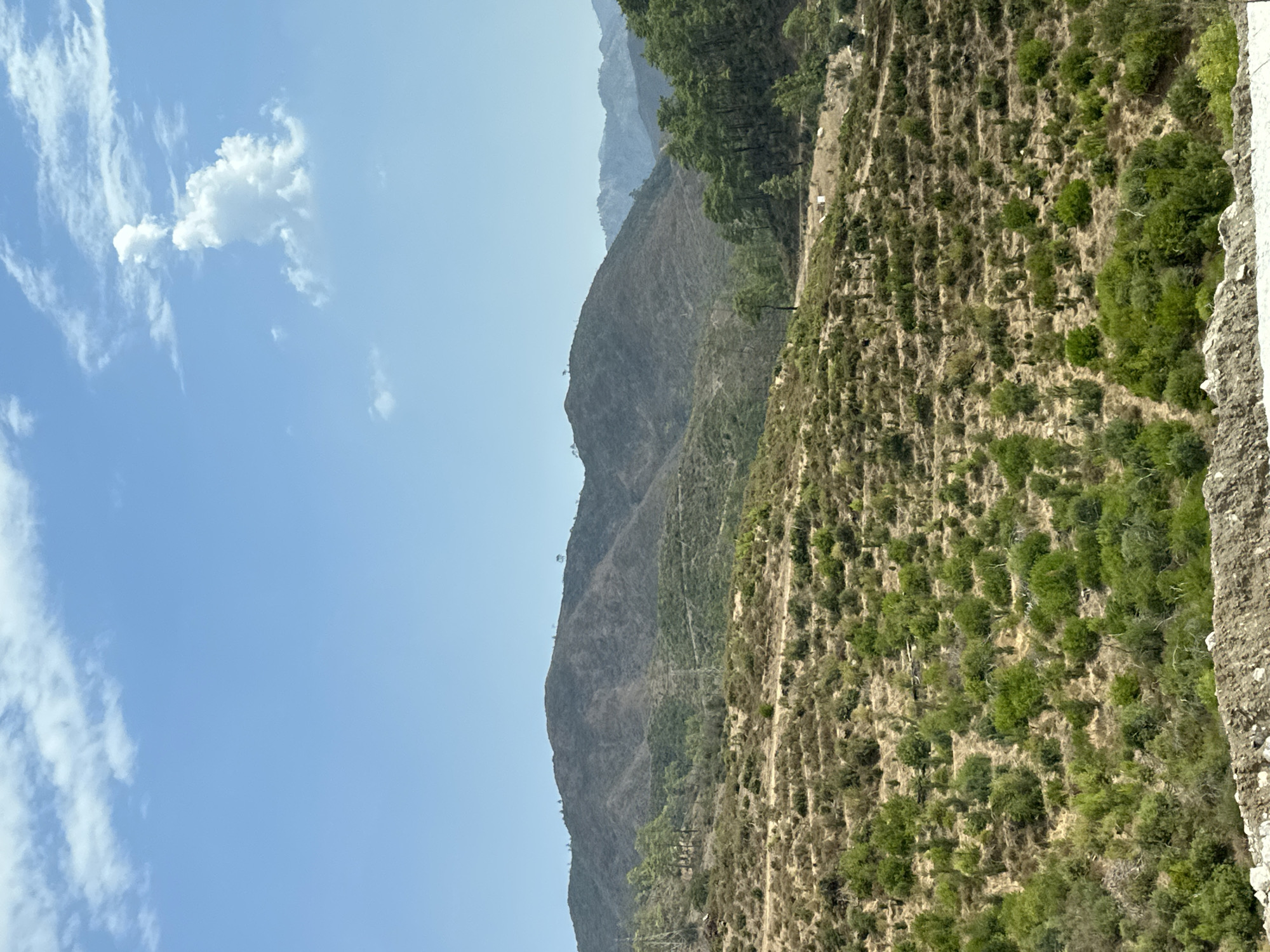 The image displays a panoramic view of a rugged, hilly landscape under a bright blue sky with scattered white clouds. The terrain is characterized by sparse, dry vegetation interspersed with patches of greener shrubs and trees, particularly on the slopes of the distant mountains. In the foreground, the ground is covered in a mix of dry scrub and small green bushes, with a dirt path winding through it. Further back, rolling hills rise, with some areas appearing dry and barren while others are densely forested with pine trees. The mountains in the background are hazy and appear layered, suggesting a significant distance. There are no people or animals visible in the image. The scene is typical of the Mediterranean countryside, likely in an area with a dry climate. This scene is consistent with the natural landscape found in and around Marmaris, Turkey, known for its mountainous coastal terrain.