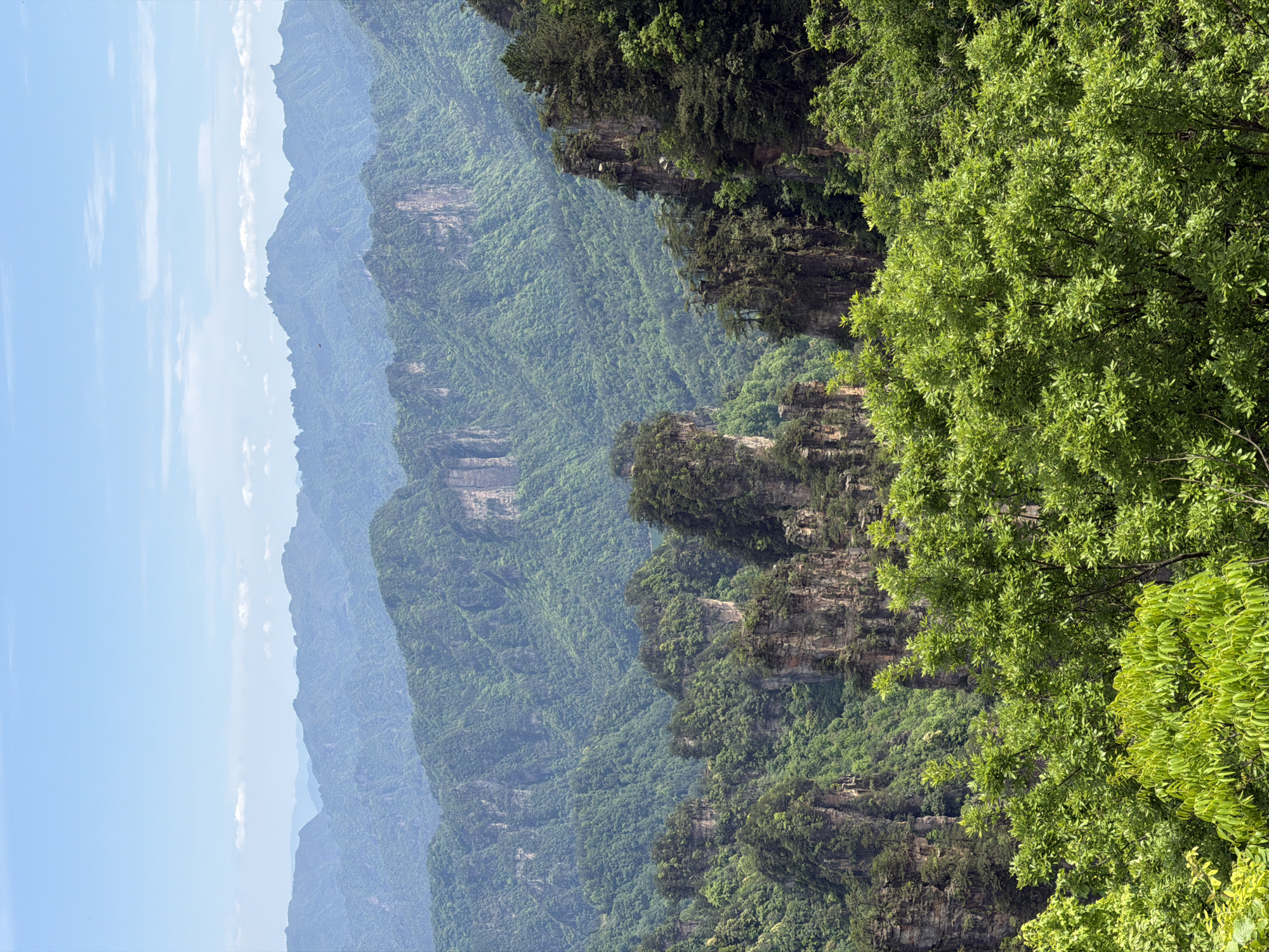 This landscape image shows the Zhangjiajie National Forest Park in the city of Wulingyuan, China. The scene features a series of towering, pillar-like rock formations densely covered in lush greenery. In the foreground, vibrant green trees frame the view, their leaves reflecting the sunlight. The rock pillars extend into the midground, their stratified layers visible beneath the vegetation. In the background, a series of more distant, hazy mountain ranges fade into the blue sky.