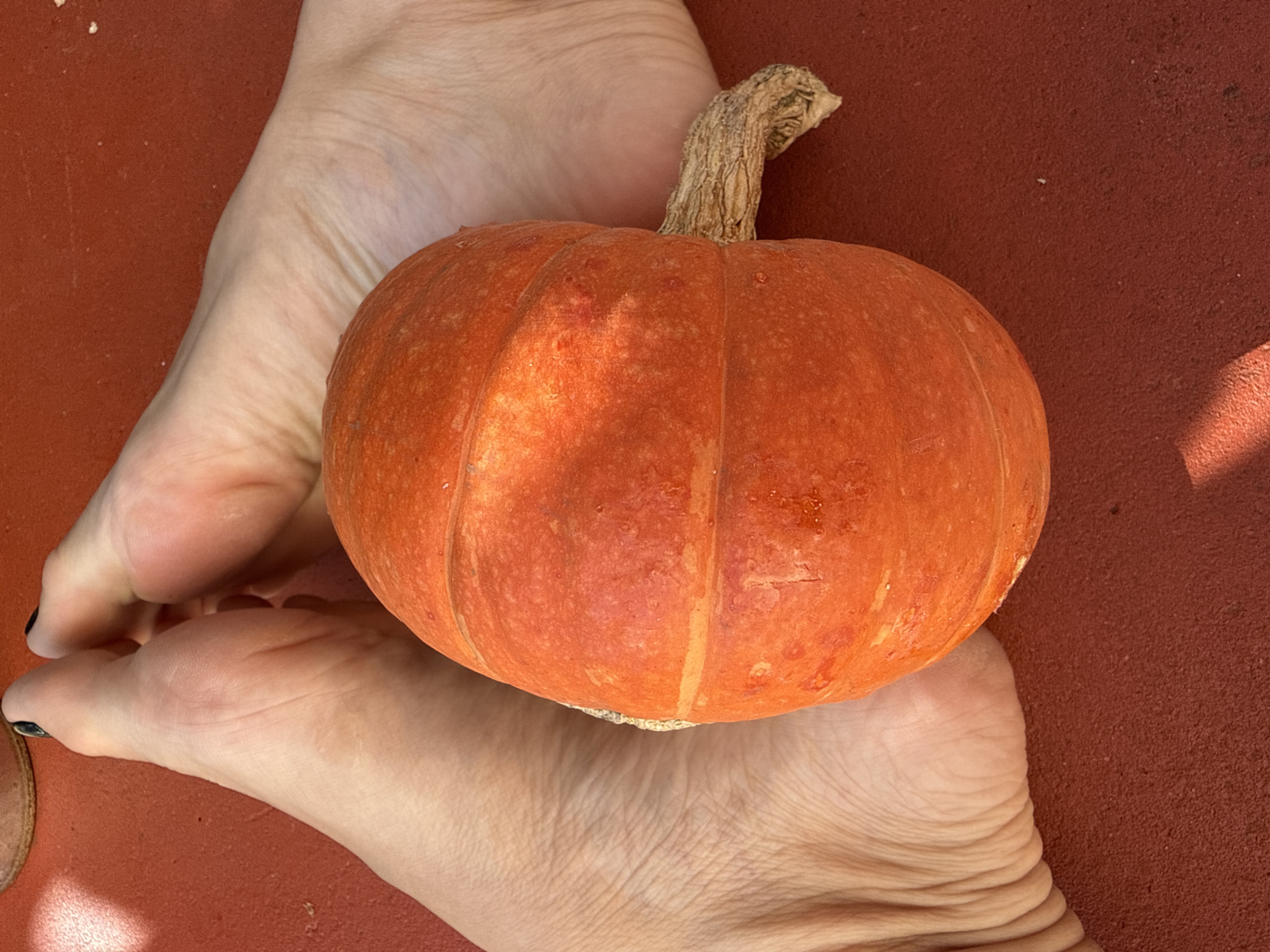 In Zheleznogorsk, Russia, a small, bright orange pumpkin rests on a reddish-brown textured surface, possibly asphalt or rubber. The pumpkin is centrally positioned and appears smooth with faint ridges. A dried, woody stem extends from the top right side of the pumpkin. Two bare feet, belonging to an individual, flank the pumpkin. The feet are pale with visible wrinkles and lines, particularly on the heel area. The toes of one foot are visible on the left, and the heel and arch of the other foot are on the right. The fingernails of at least one foot are painted dark, possibly black. Sunlight casts a distinct shadow on the lower left portion of the image, indicating an outdoor setting. The overall scene is a close-up shot, focusing on the pumpkin and the feet.