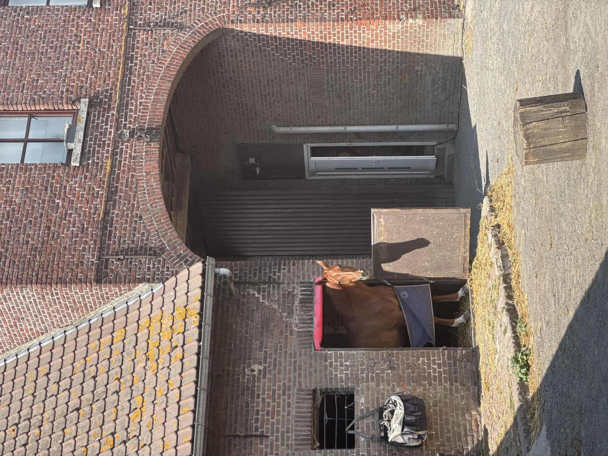 This is a medium-shot, eye-level photograph taken outdoors, likely in Estaimpuis, Belgium. The scene depicts a courtyard area with brick buildings. In the center of the frame, a brown horse is partially visible, standing in what appears to be a stable or enclosure. The horse is wearing a blue blanket. The enclosure has a pink barrier at the front. Surrounding the enclosure is a brick wall, with a smaller barred window below it. To the left of the enclosure, a tiled roof of a building is visible, with some yellow lichen growth on the tiles. Above the enclosure, there is a large brick archway. Further to the left, a brick building with a window is seen. To the right of the enclosure, a paved area with a large wooden block is present. The lighting suggests it is a sunny day, casting shadows. A backpack is placed on the ground near the barred window. No people are visible in the image.