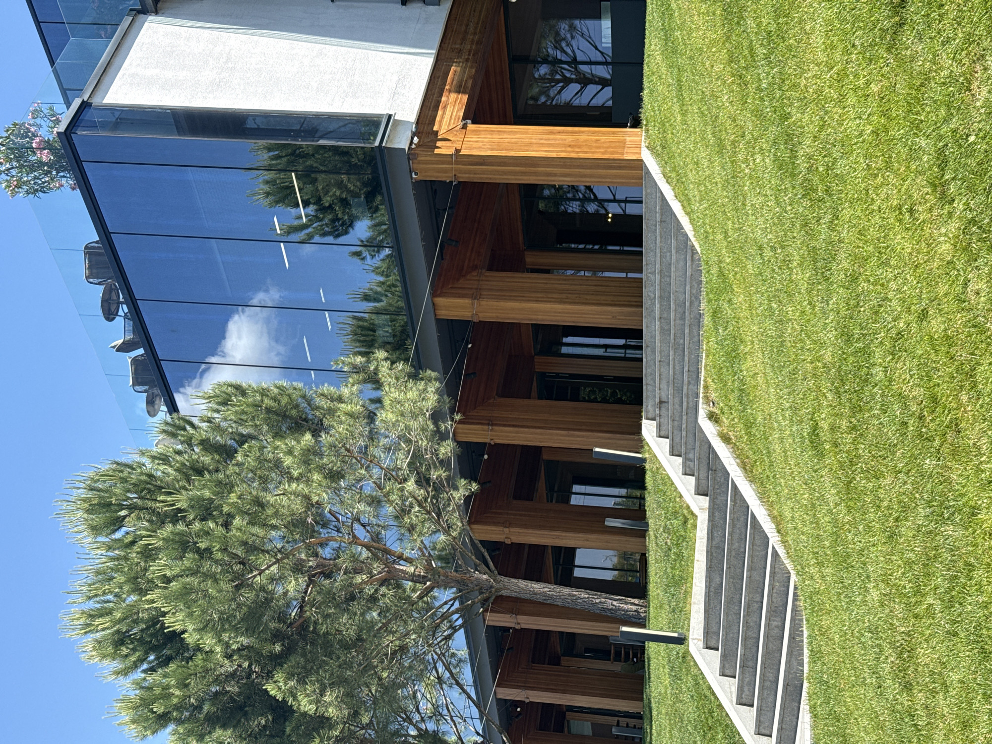 A modern building with a glass facade and wooden pillars is surrounded by lush green grass. A set of concrete stairs leads up to the building's entrance. A large pine tree stands to the left of the stairs, its branches reaching towards the glass facade. The sky is blue with scattered white clouds. The building appears to be empty of people.