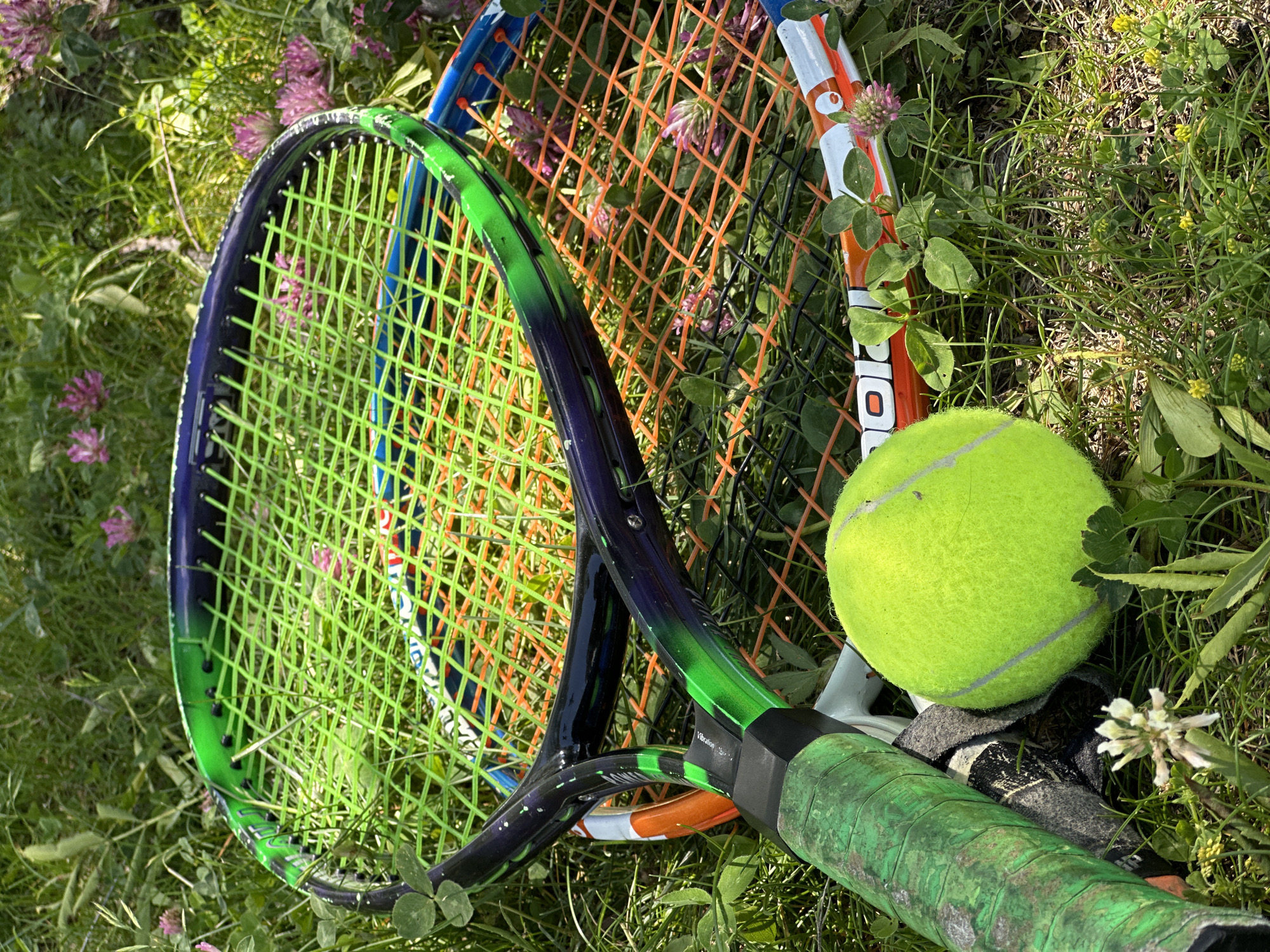 Two tennis rackets and a tennis ball are lying on the grass amidst clover and wildflowers. The rackets are positioned one over the other, with the topmost racket having a green and blue frame and green strings. The racket underneath has an orange and blue frame and orange strings. The tennis ball is a bright yellow-green and is positioned in the foreground to the left of the rackets. The scene is illuminated by natural sunlight, casting shadows on the grass. The environment suggests an outdoor setting, likely a park or a backyard. There is no indication of people or any activity related to playing tennis. The image appears to be taken in Dilijan, Armenia, as specified, and the flora suggests a warm season.