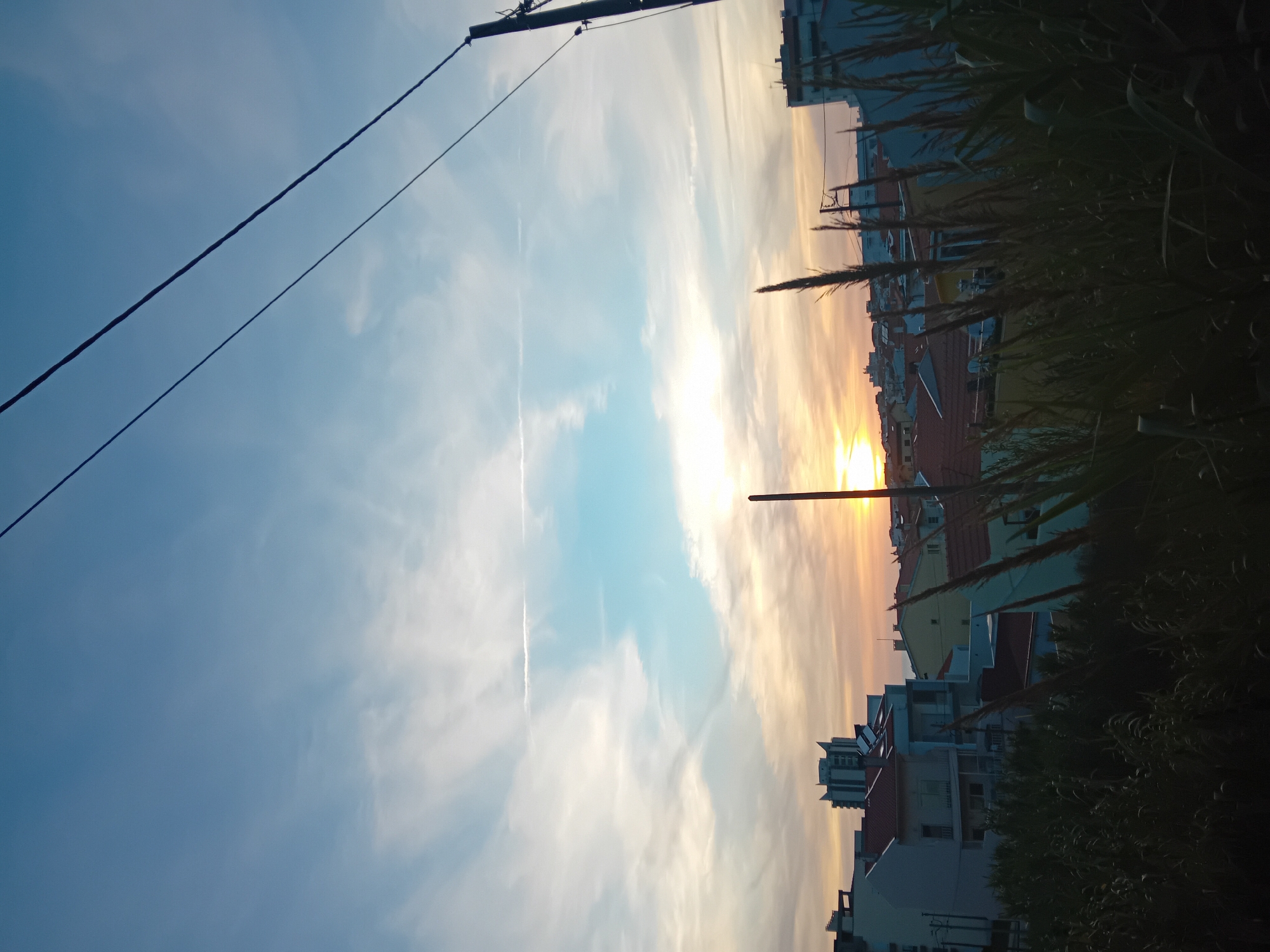 The image, oriented horizontally for viewing, captures a vibrant sunset or sunrise over a residential area in Figueira da Foz, Portugal. The sky dominates the upper portion of the frame, showcasing a striking gradient from a clear, deep blue on the left to brilliant hues of golden yellow and orange on the right. The sun, a powerful, bright orb, is visible low on the right horizon, casting an intense golden glow across the clouds. Scattered white, wispy clouds are distributed throughout the sky, with faint, linear contrails discernible against the bluer sections.
Below the dynamic sky, a collection of buildings with tiled roofs and multiple stories forms the middle ground. These structures appear partly silhouetted or cast in shadow due to the strong backlight from the sun. In the immediate foreground on the right, tall, feathery vegetation, likely reeds or ornamental grasses, creates a dark, textured silhouette that partially obscures the buildings behind it. Other dark, bush-like foliage is also visible.
Stretching diagonally across the upper left part of the blue sky are two dark power lines or utility cables, connected to a pole or structure at the top edge of the frame. There are no people or specific activities depicted in the scene, which conveys a sense of calm and natural beauty during the golden hour. No visible text is present.