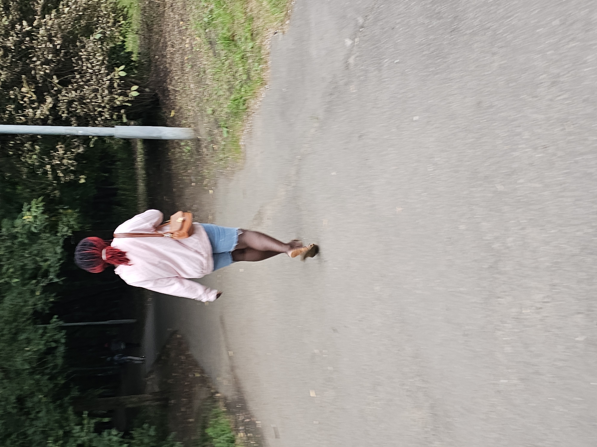 A person is walking away from the camera on a paved path in a park. The person has red dreadlocks, is wearing a light pink hoodie, blue denim shorts, and dark patterned tights with brown sandals. They are carrying a small, tan crossbody bag. In the background, trees and bushes line the path, and a street light is visible to the right. The path appears wet, and there are some leaves scattered on the ground. Two other figures are visible walking in the distance on the path, further ahead.