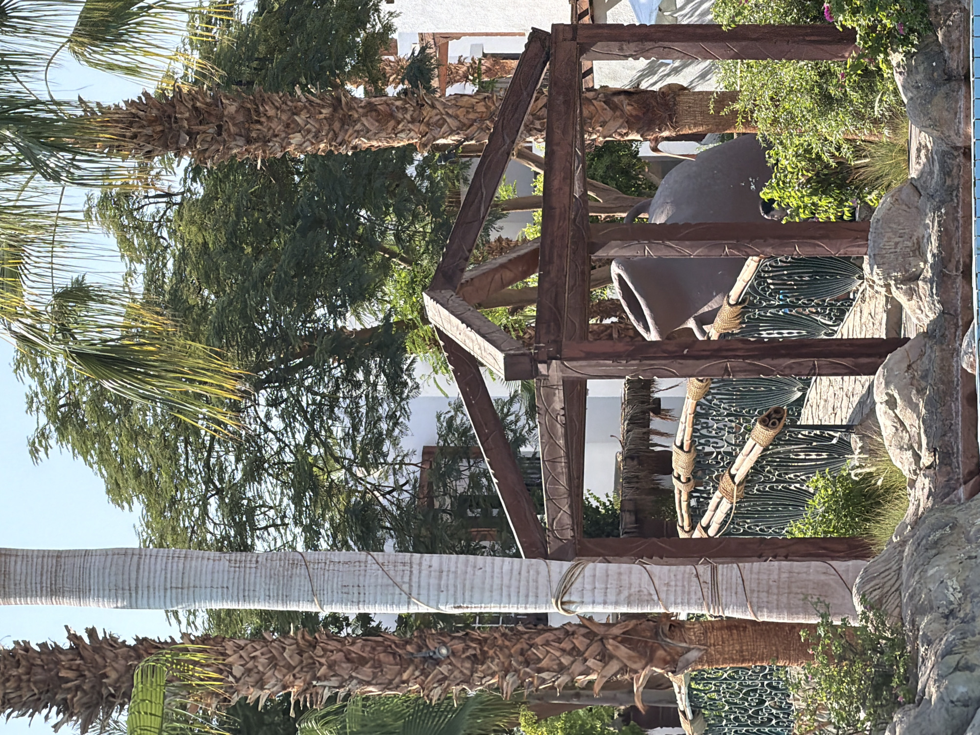 The image depicts an outdoor scene with lush greenery, palm trees, and architectural elements that suggest a resort or a garden setting in Sharm El Sheikh, Egypt. In the foreground, large rocks border a body of water, likely a swimming pool, with its blue surface visible at the bottom.
Dominating the mid-ground is a rustic wooden structure with a pitched roof, forming an archway or a pergola. Through this structure, a decorative metal fence with an intricate pattern is visible, supporting a bridge-like walkway made of bamboo poles tied with ropes. On the walkway, near the wooden structure, a large, dark brown amphora is prominently displayed. The amphora appears to be made of clay or a similar material and has a wide mouth and a rounded body.
Several palm trees are scattered throughout the scene. Two large palm trees with rough, textured trunks frame the wooden structure. One is on the left, and another is on the right. A third, slender palm tree with a smooth, pale trunk stands between them, wrapped with rope. The background reveals more foliage, including the dense canopy of a large tree with green leaves. Beyond the greenery, a white building with dark-framed windows is partially visible, suggesting it is part of a resort or hotel.
The lighting indicates it is daytime, with sunlight casting shadows and highlighting the textures of the natural and man-made elements. The overall atmosphere is one of a tropical or subtropical environment, typical of Sharm El Sheikh's resort areas. No people are clearly identifiable in the image, though a dark figure can be glimpsed behind some foliage near the amphora, appearing to be observing the scene.